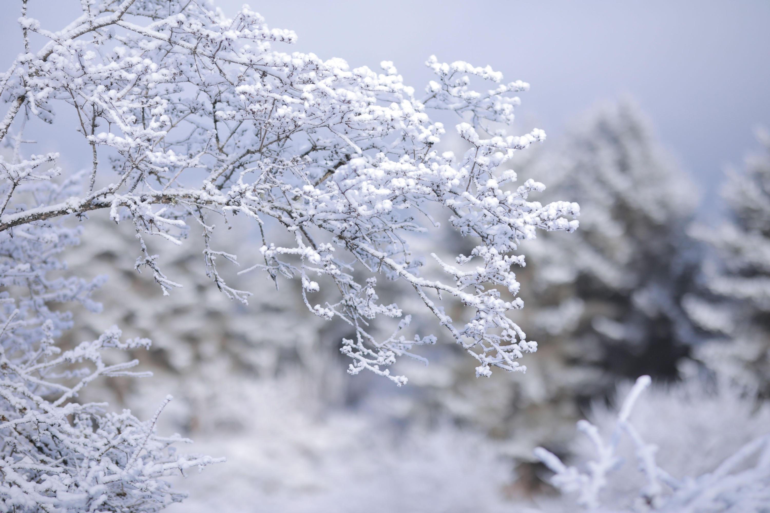 图片[8] - 素昧在路上 汉服爷爷云中鹤 - 《风雪夜归人》[25P] - 机器猫次元 - 机器猫次元