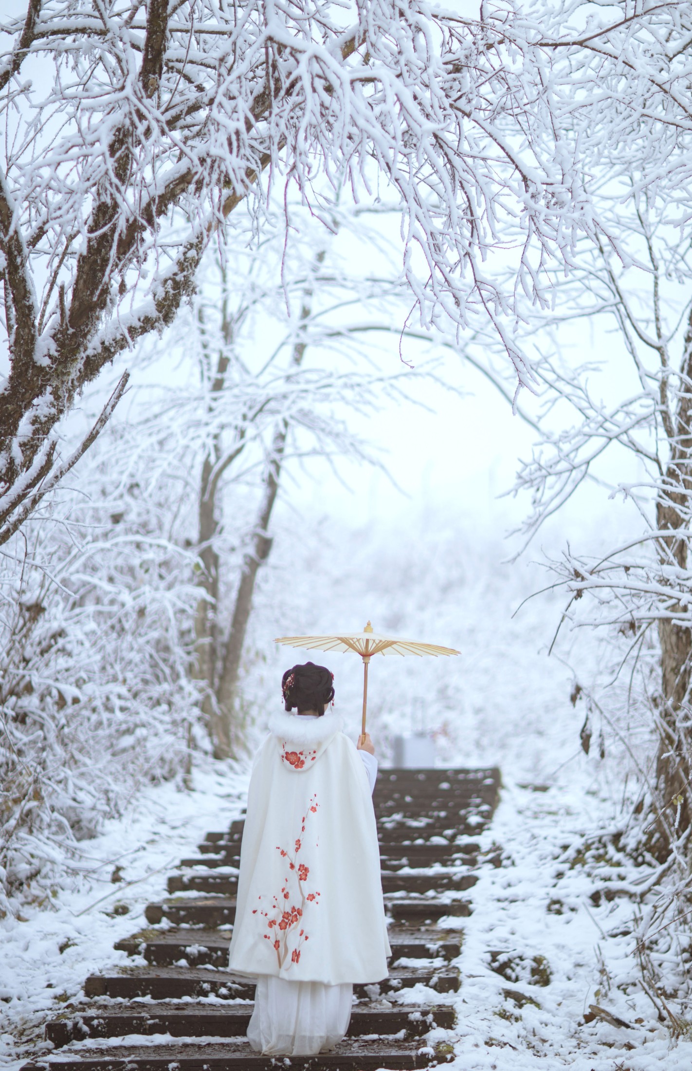 图片[5] - 小风加载中 - 《梅花香自苦寒来》[25P] - 机器猫次元 - 机器猫次元