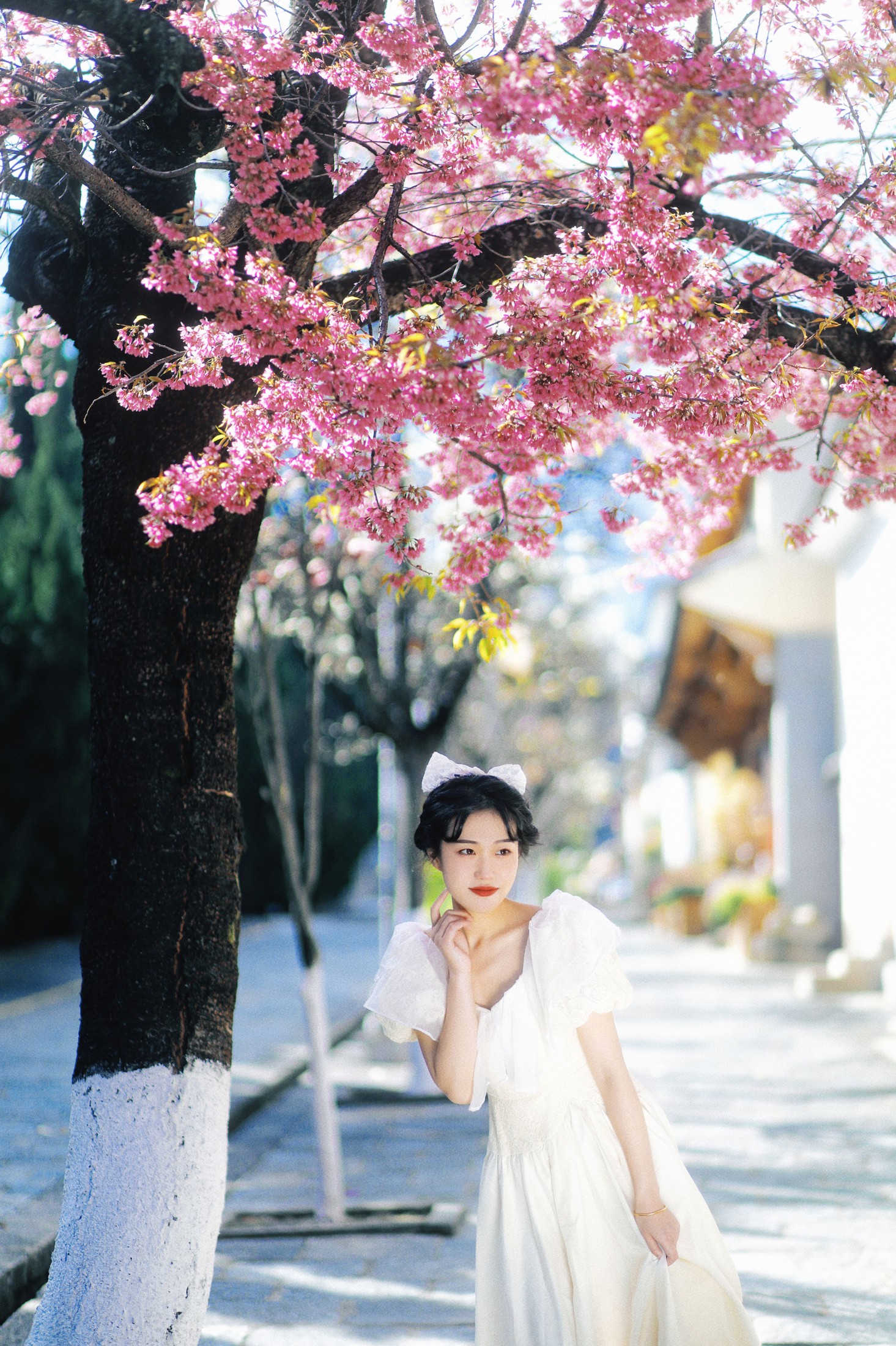 图片[8] - 迟白 - 《冬樱花下》[23P] - 机器猫次元 - 机器猫次元