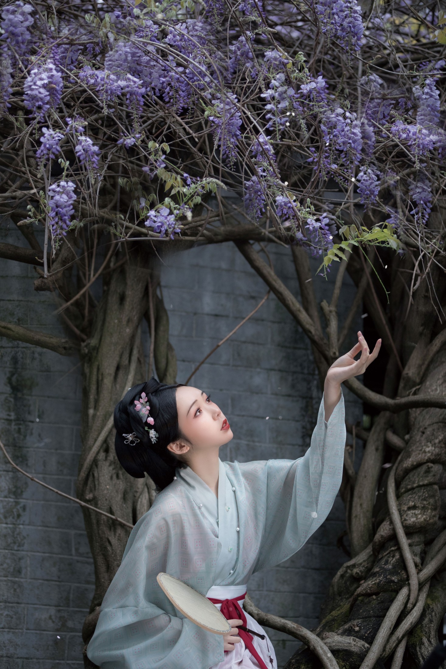 图片[8] - 槐枝- 《潭上紫藤》[38P] - 机器猫次元 - 机器猫次元