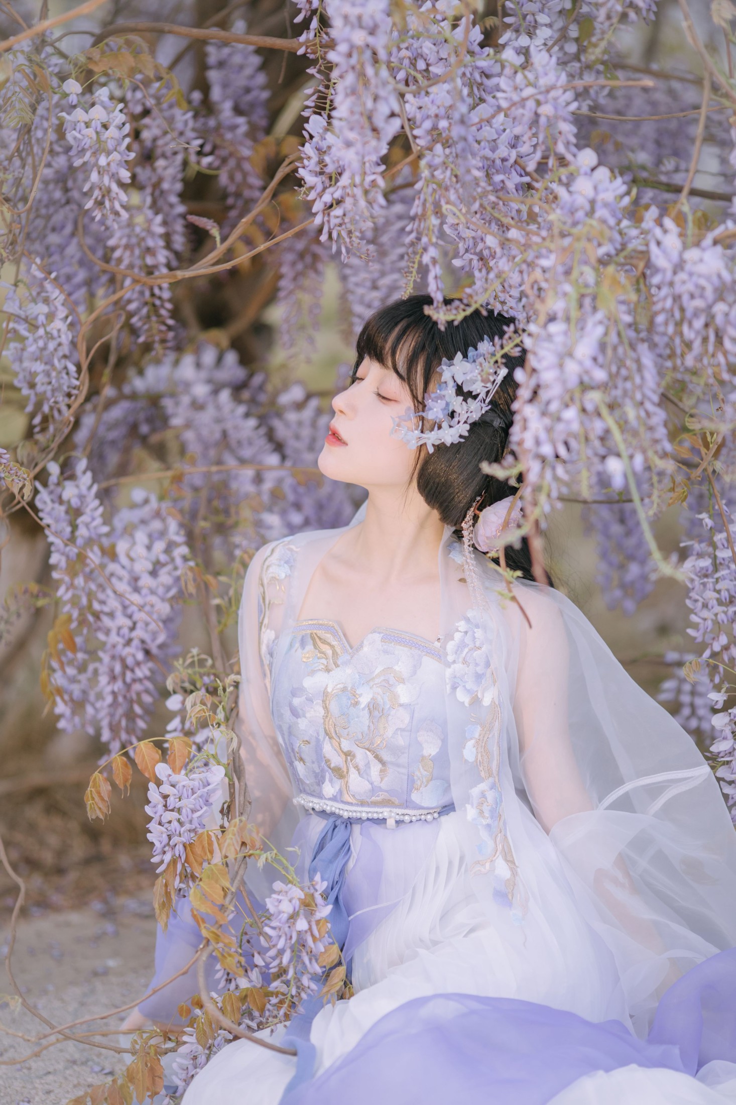 图片[6] - 麻辣孔雀 - 《紫藤小花仙》[20P] - 机器猫次元 - 机器猫次元