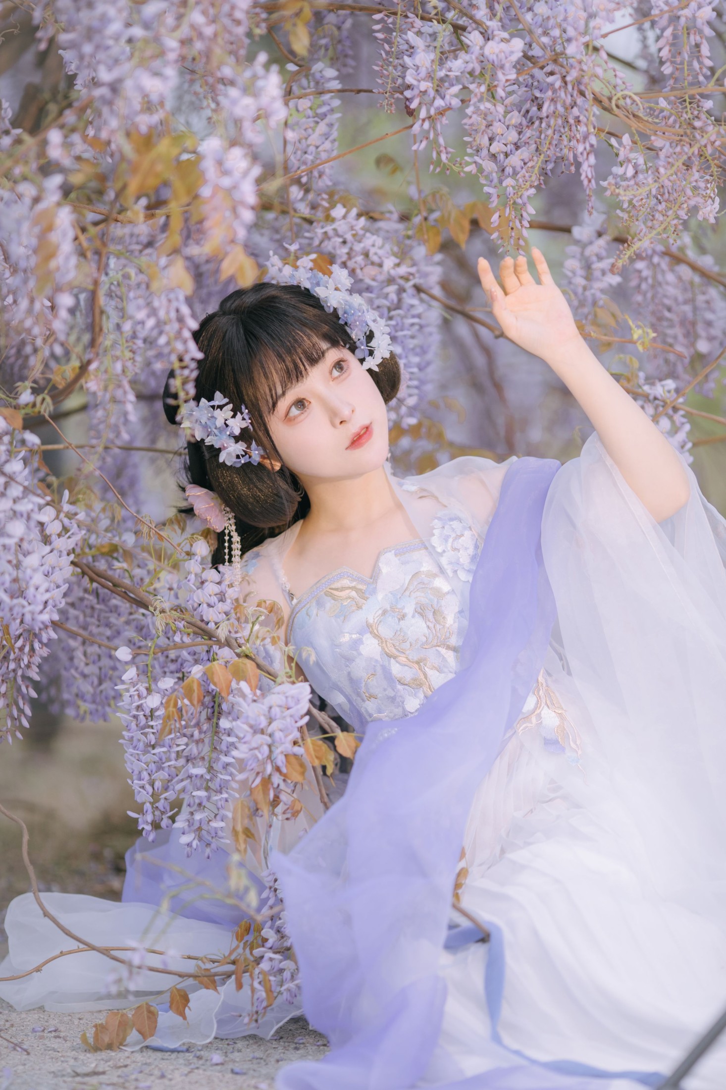 图片[3] - 麻辣孔雀 - 《紫藤小花仙》[20P] - 机器猫次元 - 机器猫次元