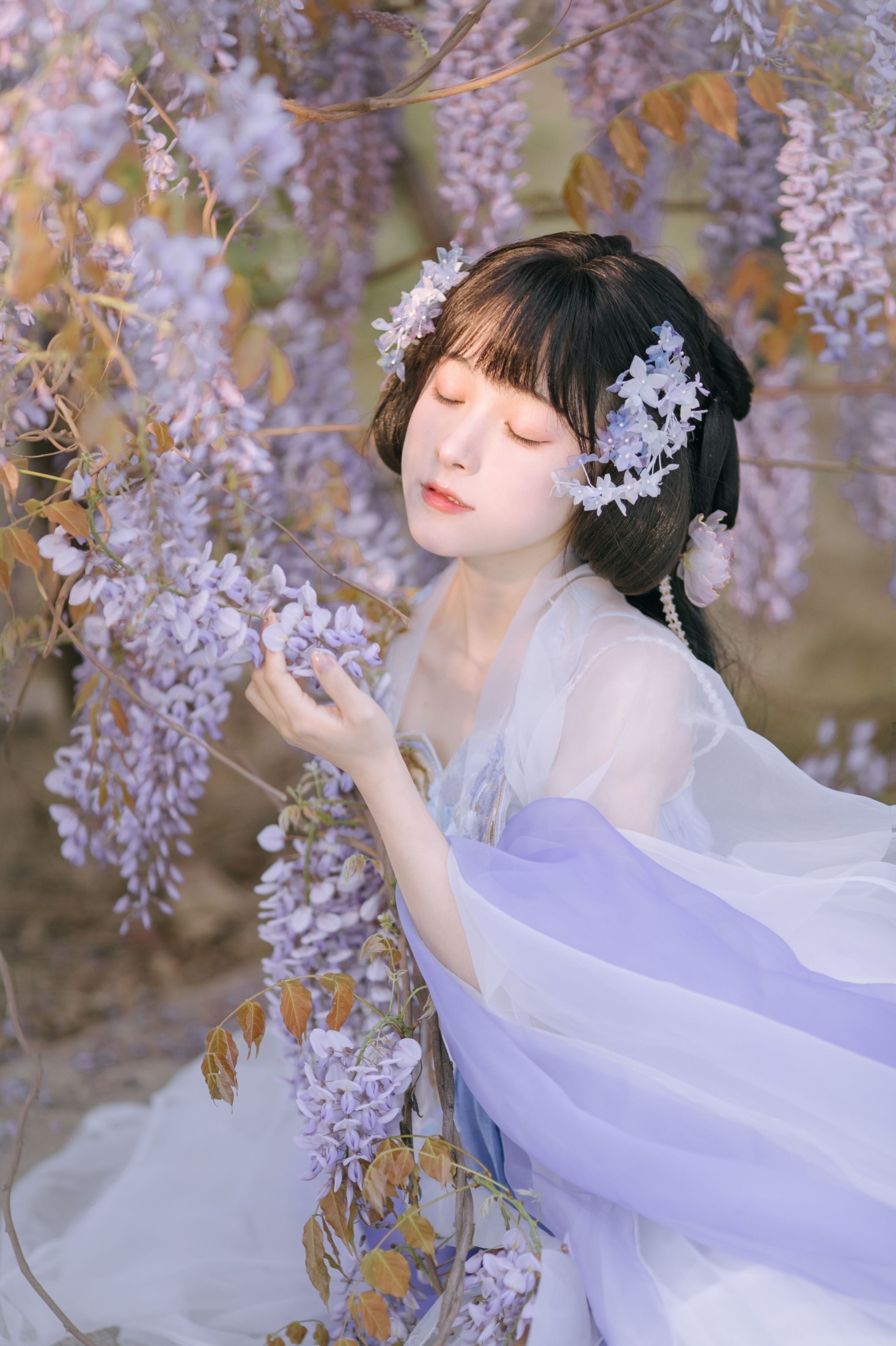 图片[4] - 麻辣孔雀 - 《紫藤小花仙》[20P] - 机器猫次元 - 机器猫次元