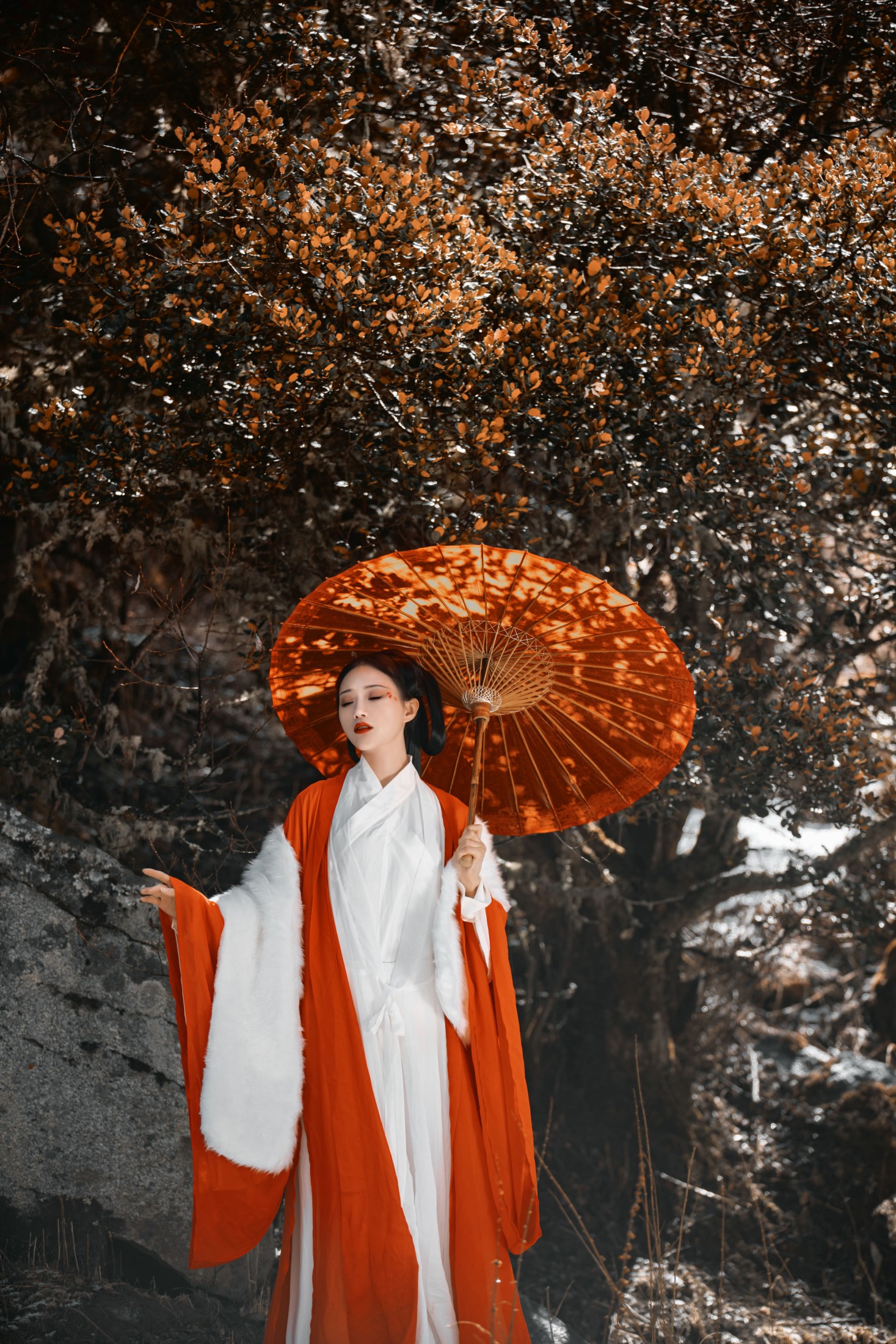 图片[3] - 薇薇 - 《山林》[27P] - 机器猫次元 - 机器猫次元