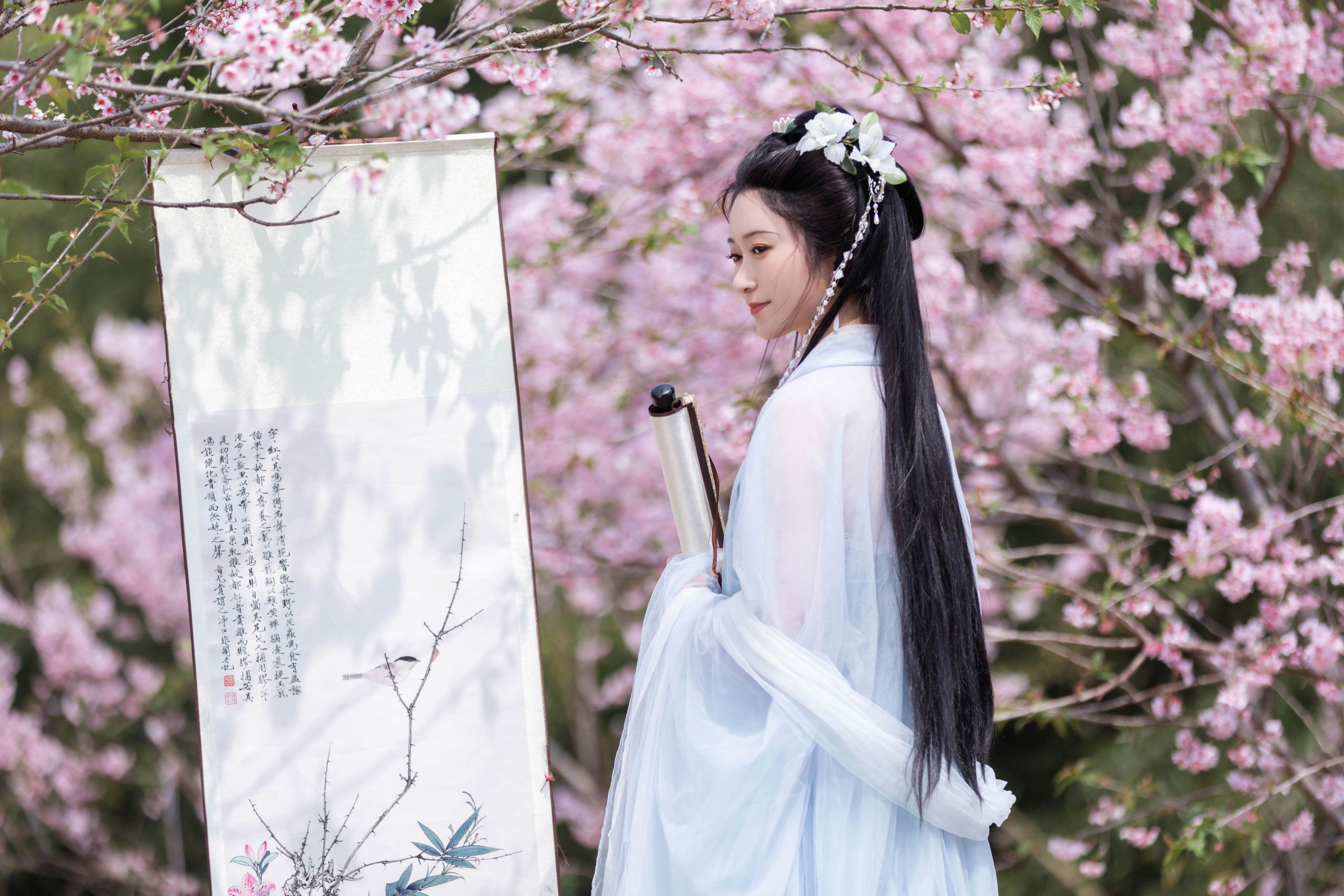 图片[3] - 云草 - 《春归》[22P] - 机器猫次元 - 机器猫次元