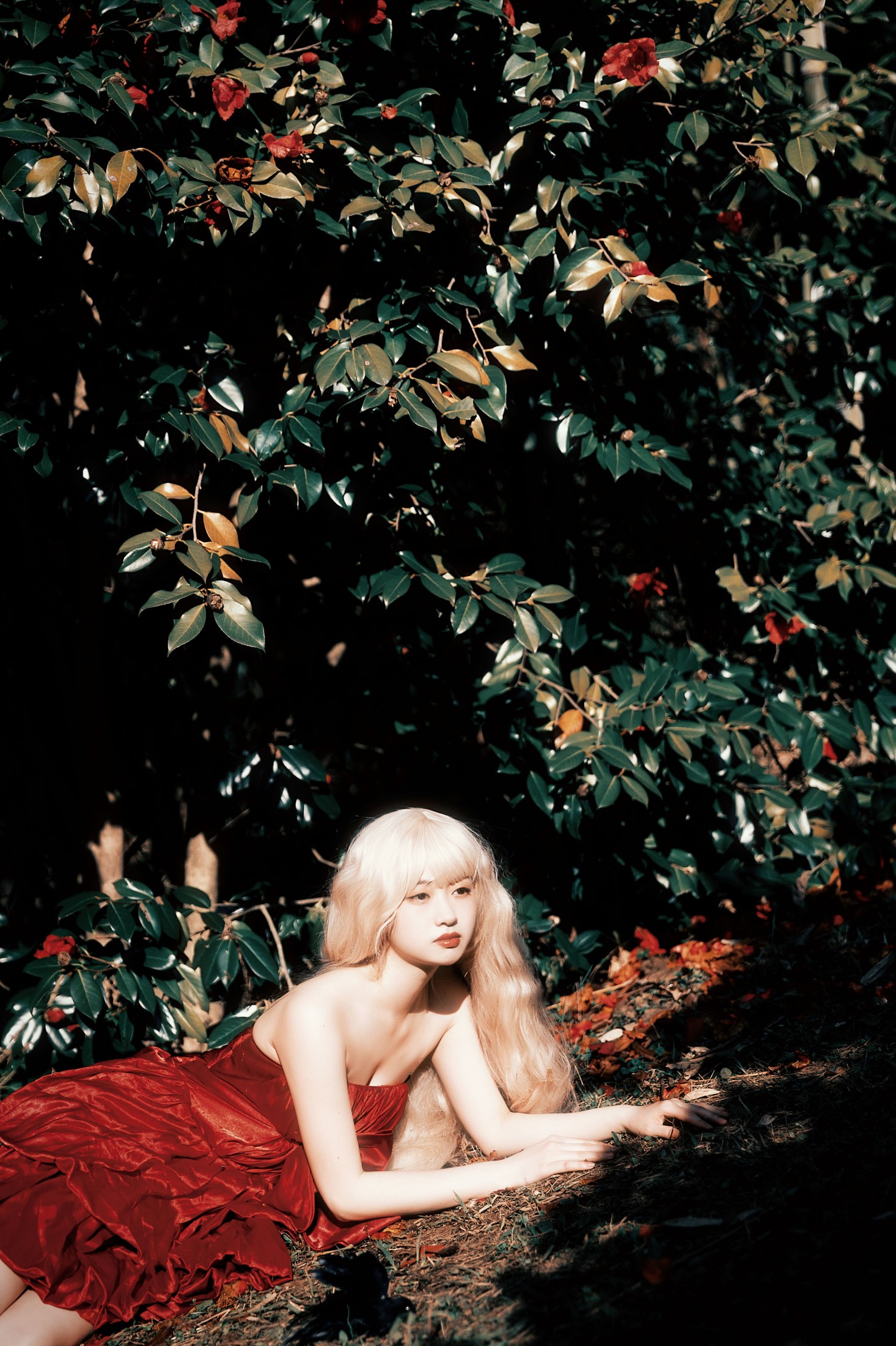图片[5] - natasha - 《荼蘼花事了》[24P] - 机器猫次元 - 机器猫次元