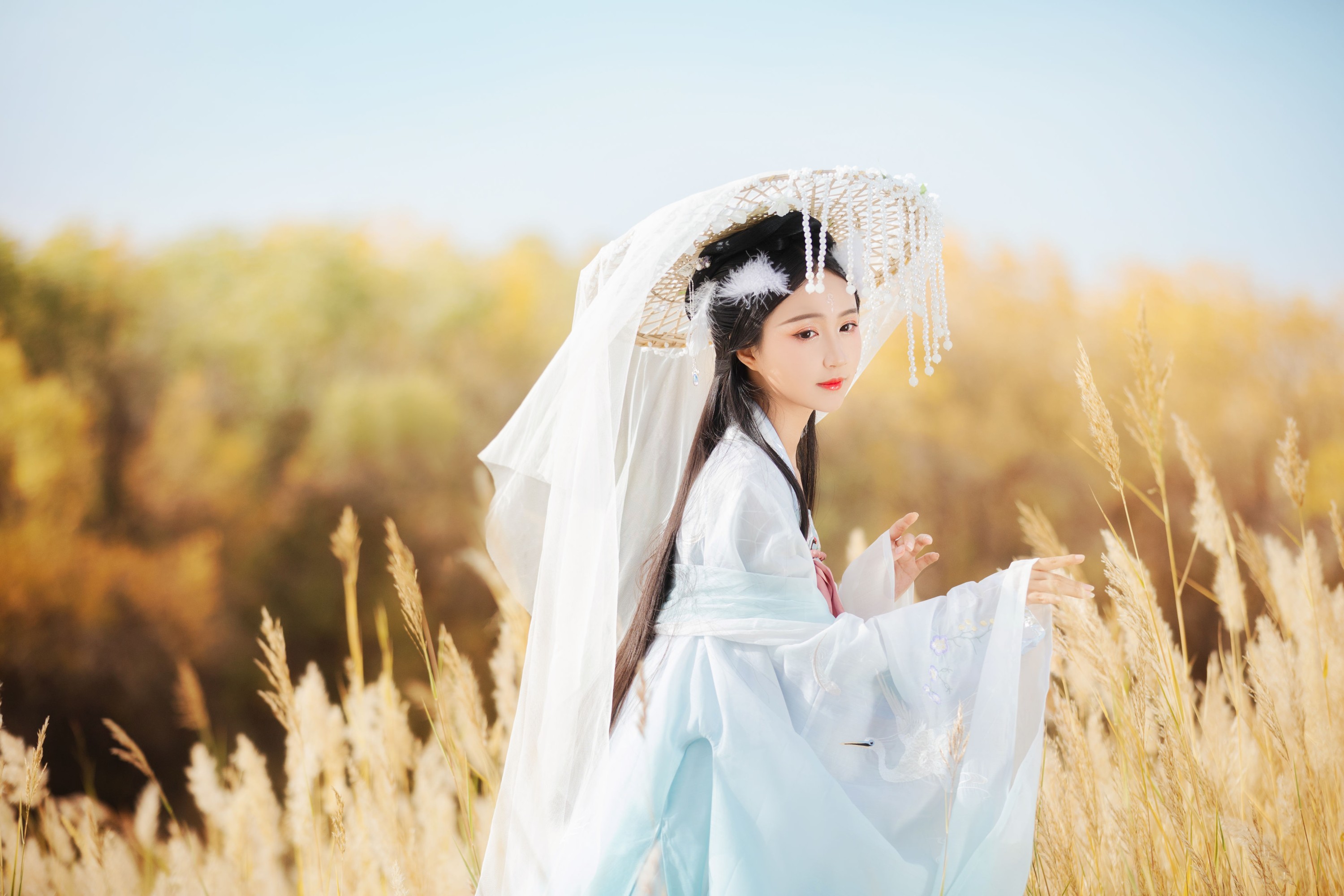 图片[6] - 绮罗生的小苏苏 - 《化鹤归》[27P] - 机器猫次元 - 机器猫次元