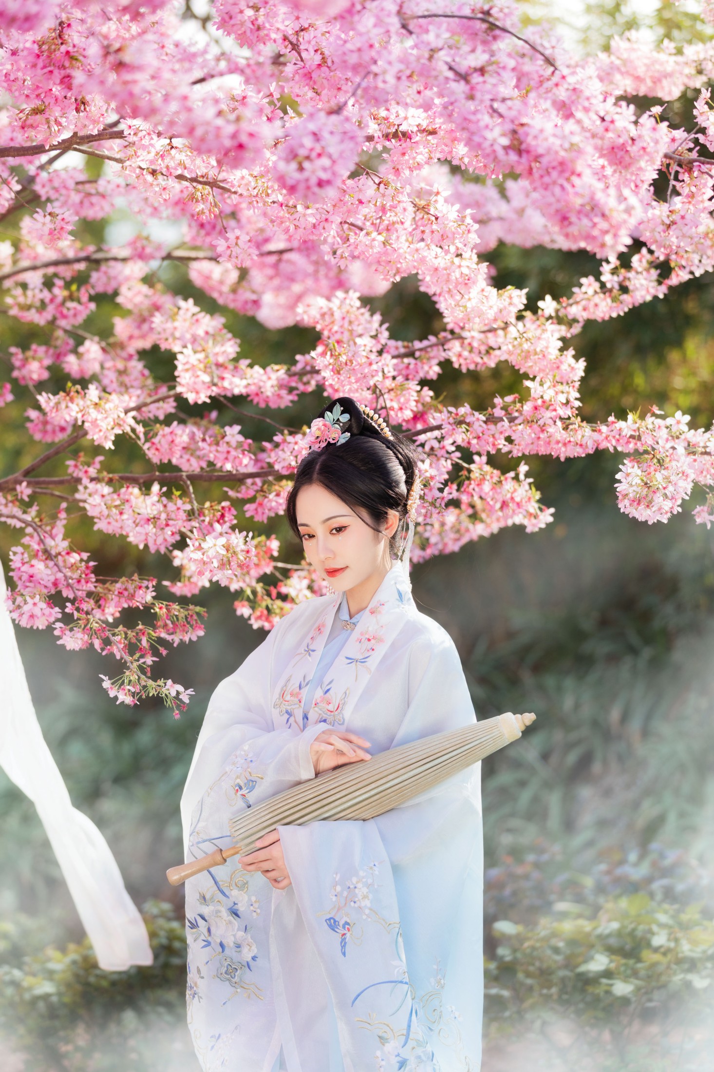 图片[7] - 是雨诗呀 - 《春樱》[24P] - 机器猫次元 - 机器猫次元