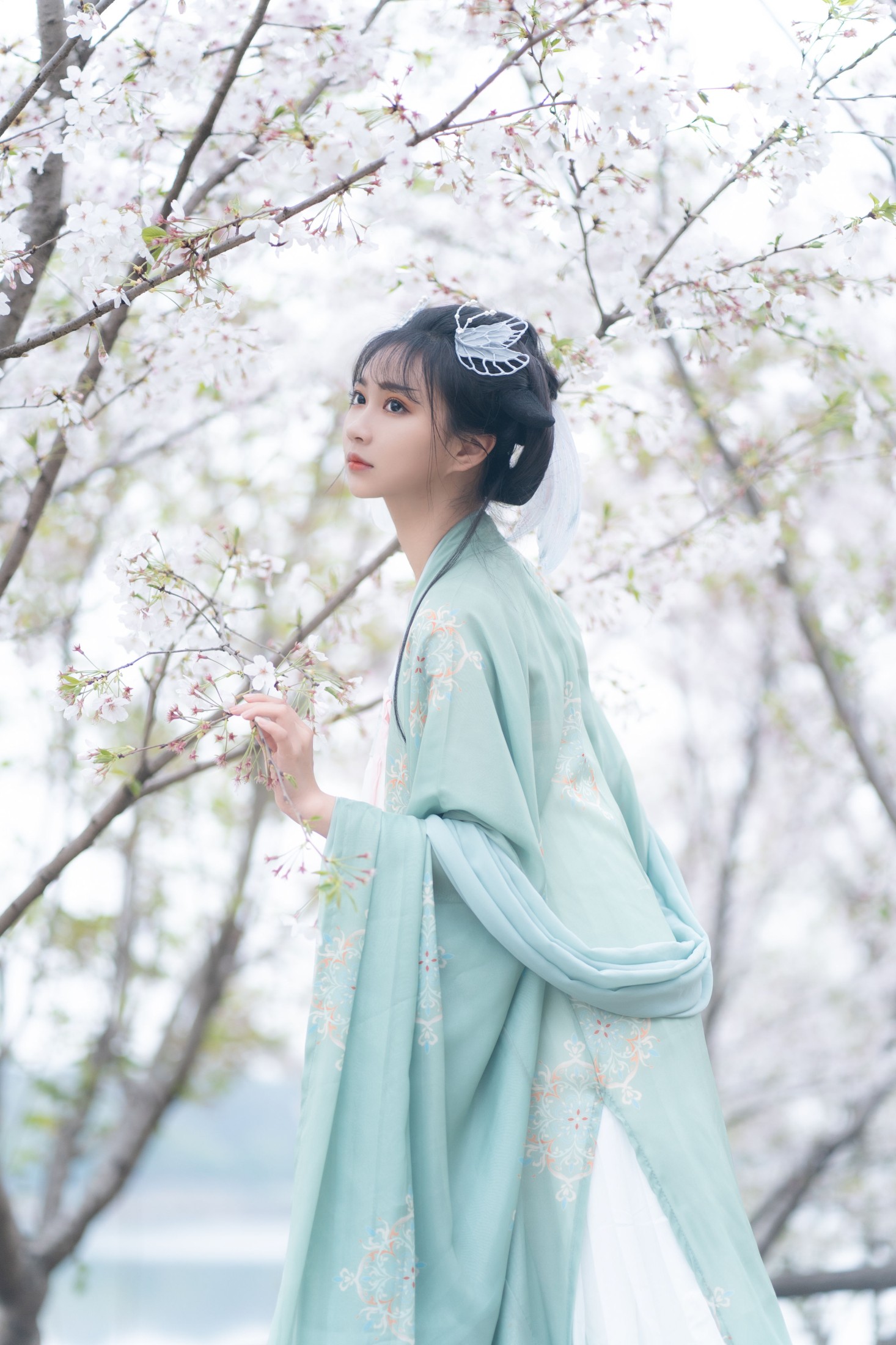 图片[3] - 绮罗生的小苏苏 - 《云孤月》[22P] - 机器猫次元 - 机器猫次元