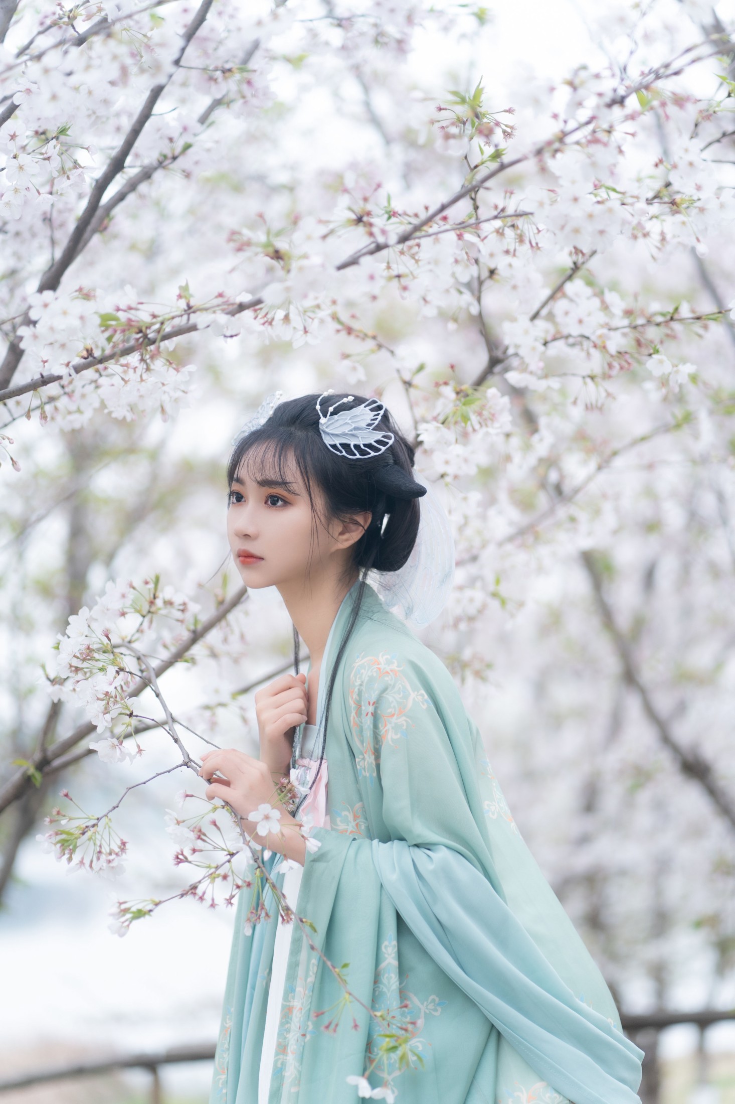 图片[5] - 绮罗生的小苏苏 - 《云孤月》[22P] - 机器猫次元 - 机器猫次元