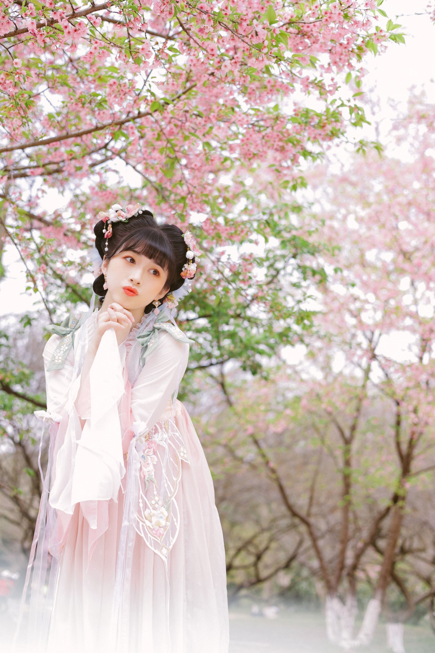 图片[3] - breezyzm - 《少女与樱花》[26P] - 机器猫次元 - 机器猫次元