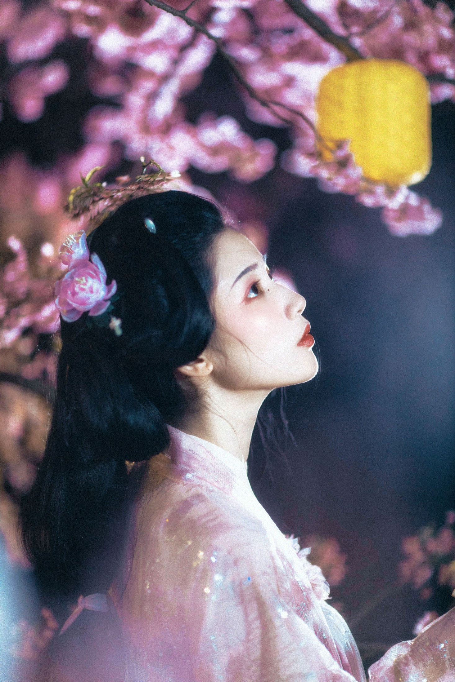 图片[4] - 见南山 - 《花月夜》[24P] - 机器猫次元 - 机器猫次元