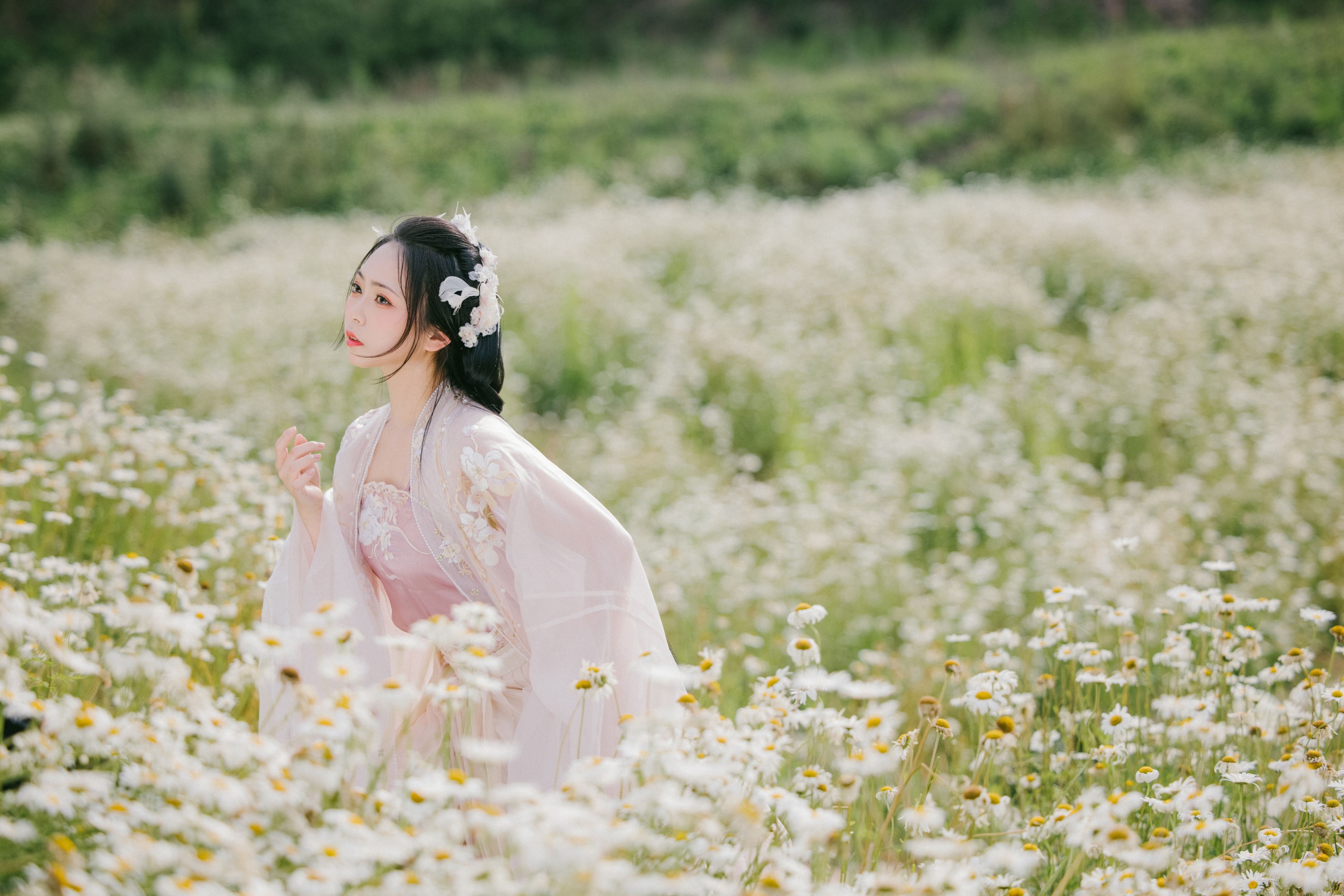 图片[5] - 阡墨红尘 - 《雏菊花海》[23P] - 机器猫次元 - 机器猫次元