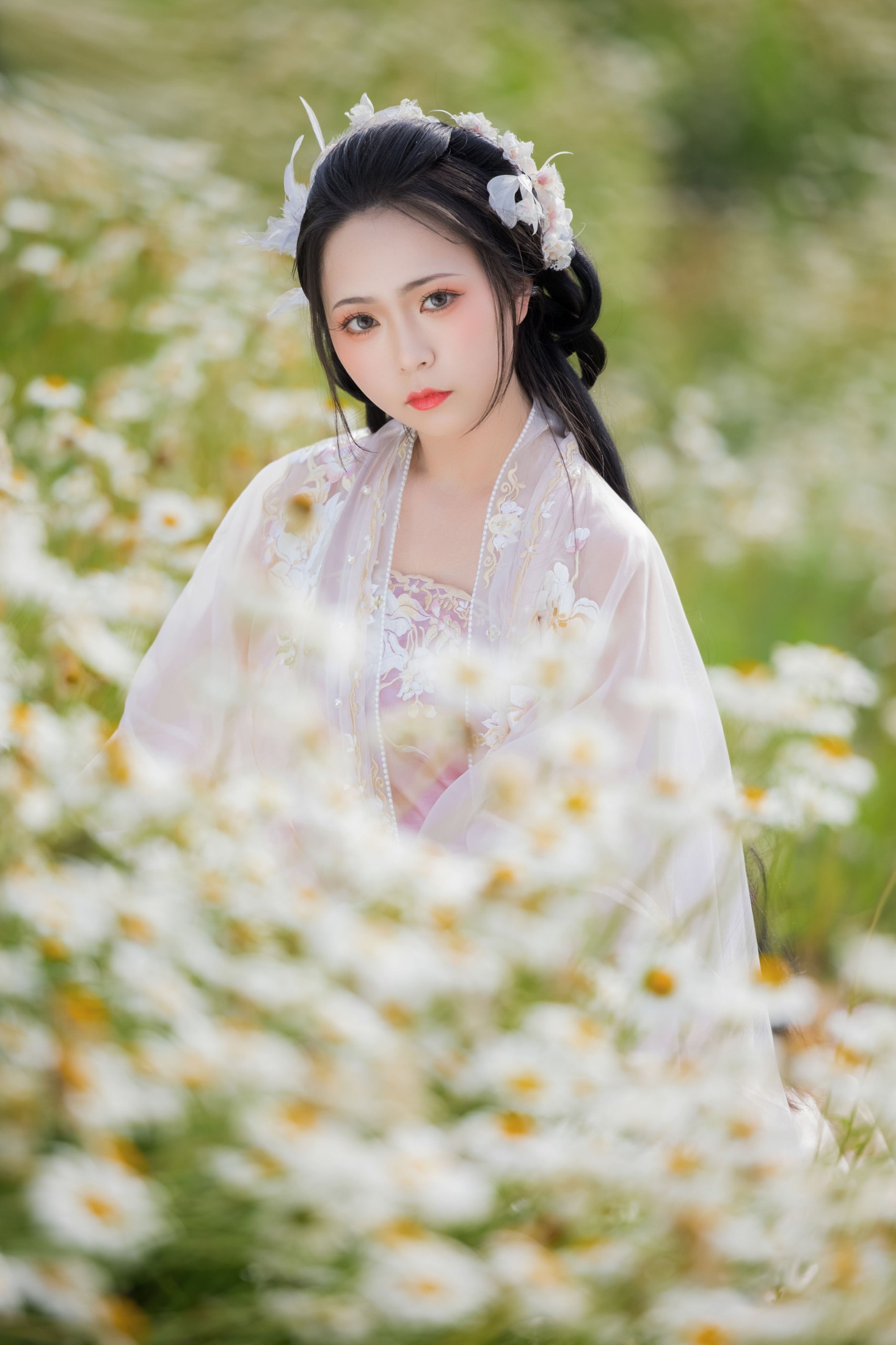 图片[7] - 阡墨红尘 - 《雏菊花海》[23P] - 机器猫次元 - 机器猫次元