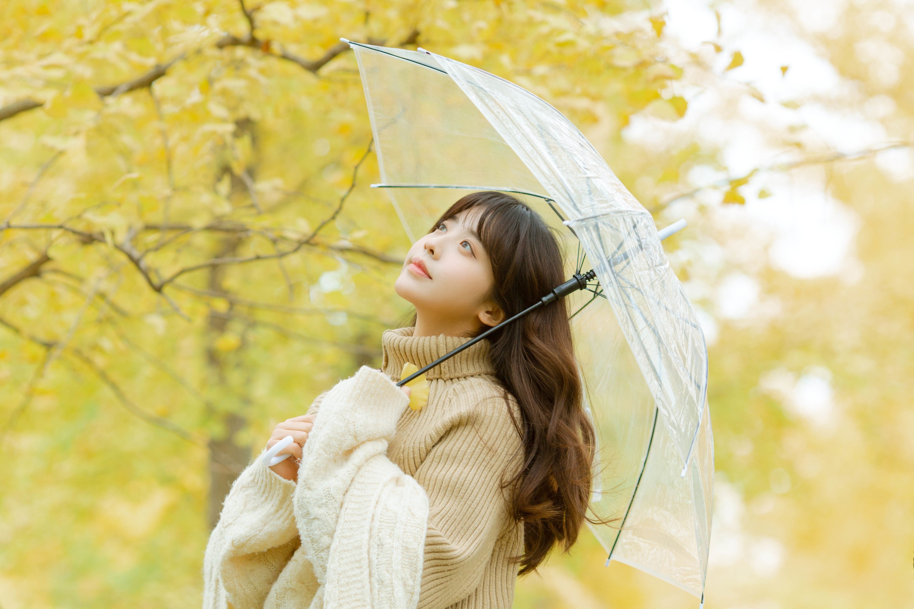 图片[5] - Z_Solla - 《深秋》[24P] - 机器猫次元 - 机器猫次元