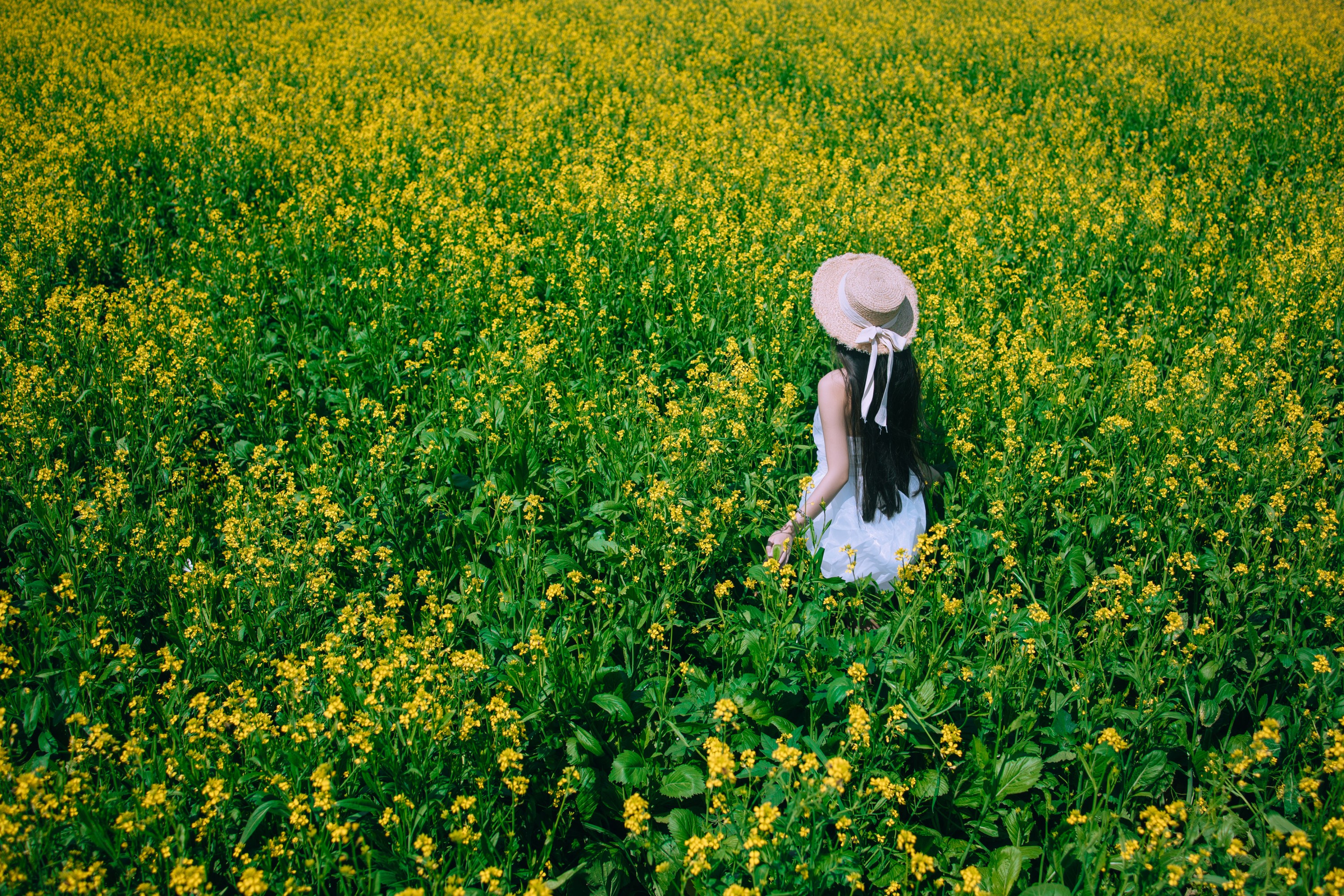 图片[4] - 四月羊大冒险 - 《少女油菜花写真》[50P] - 机器猫次元 - 机器猫次元