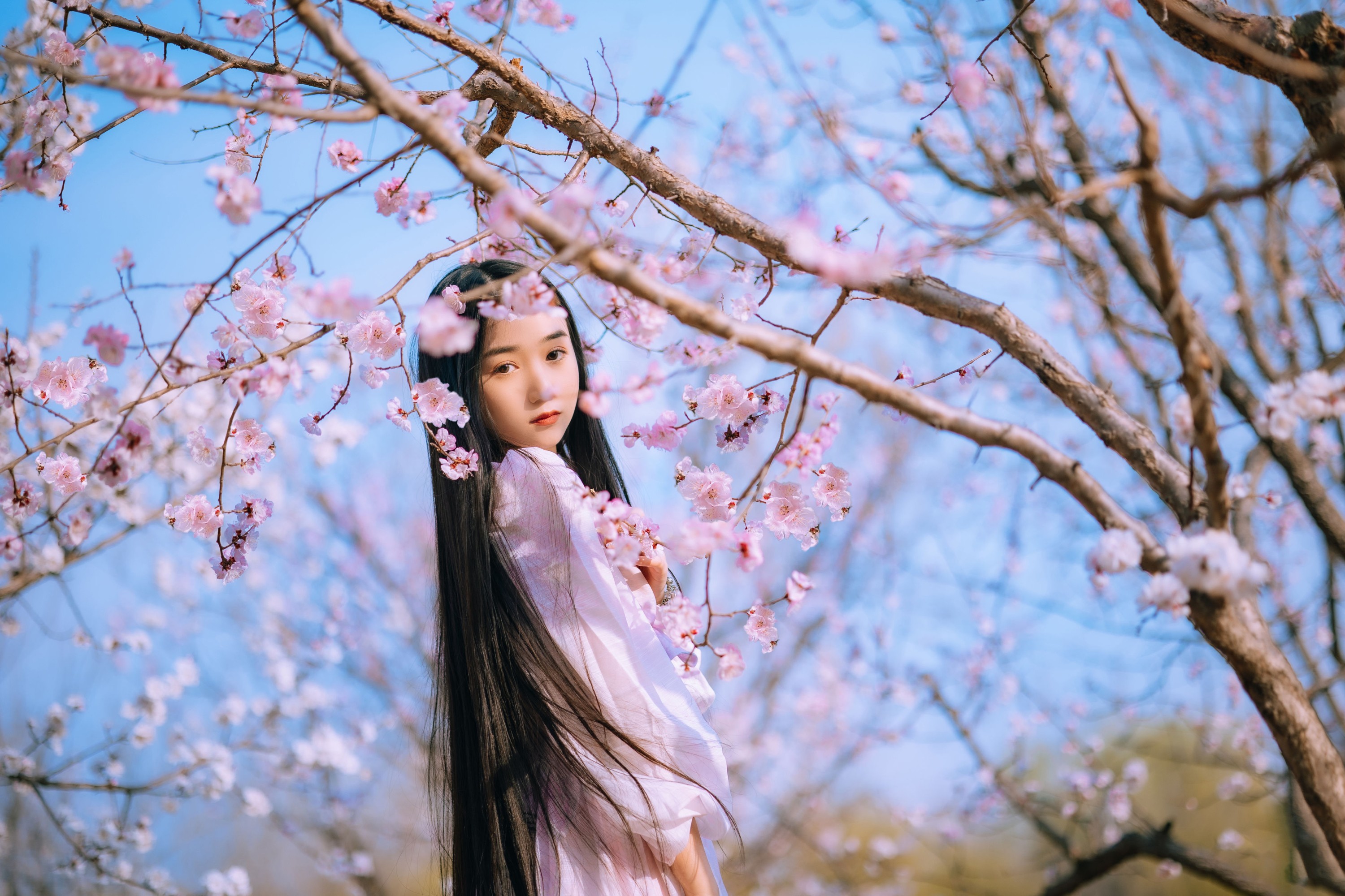 图片[8] - 四月羊大冒险 - 《桃花少女》[22P] - 机器猫次元 - 机器猫次元