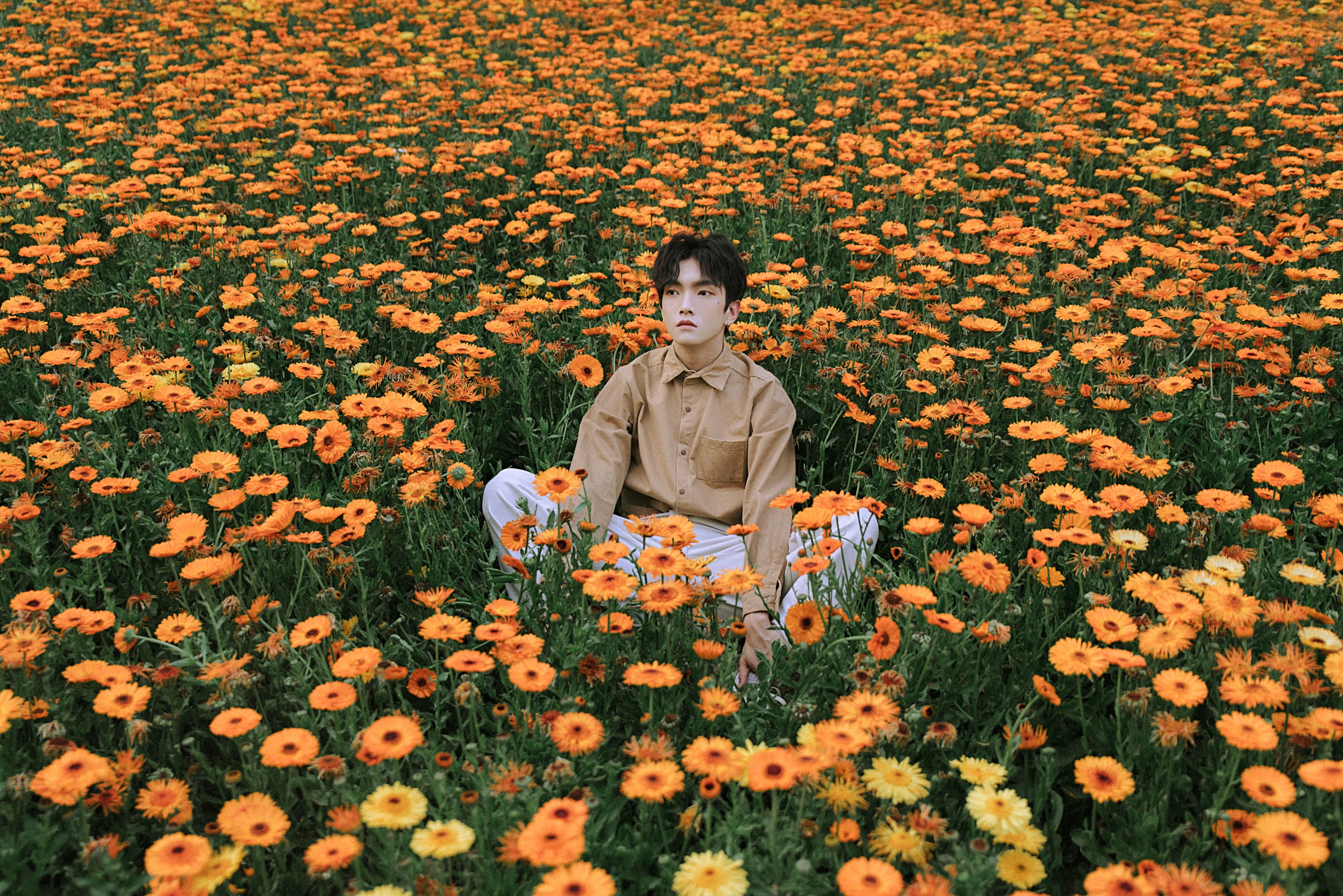 图片[3] - 阿学 - 《花海少年》[21P] - 机器猫次元 - 机器猫次元
