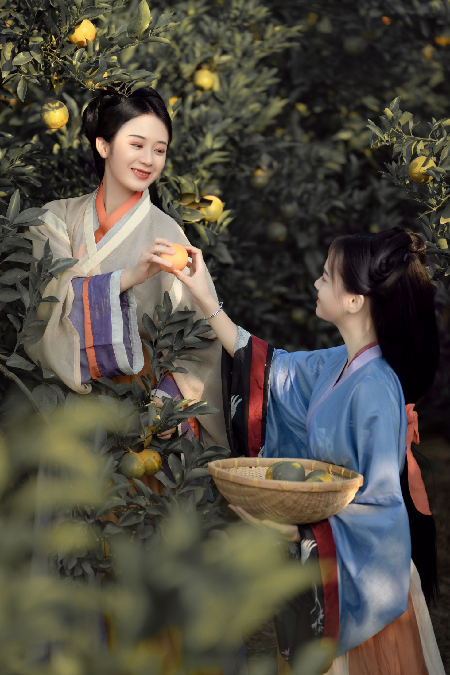 图片[3] - 薯片yoyi - 《采橘》[22P] - 机器猫次元 - 机器猫次元