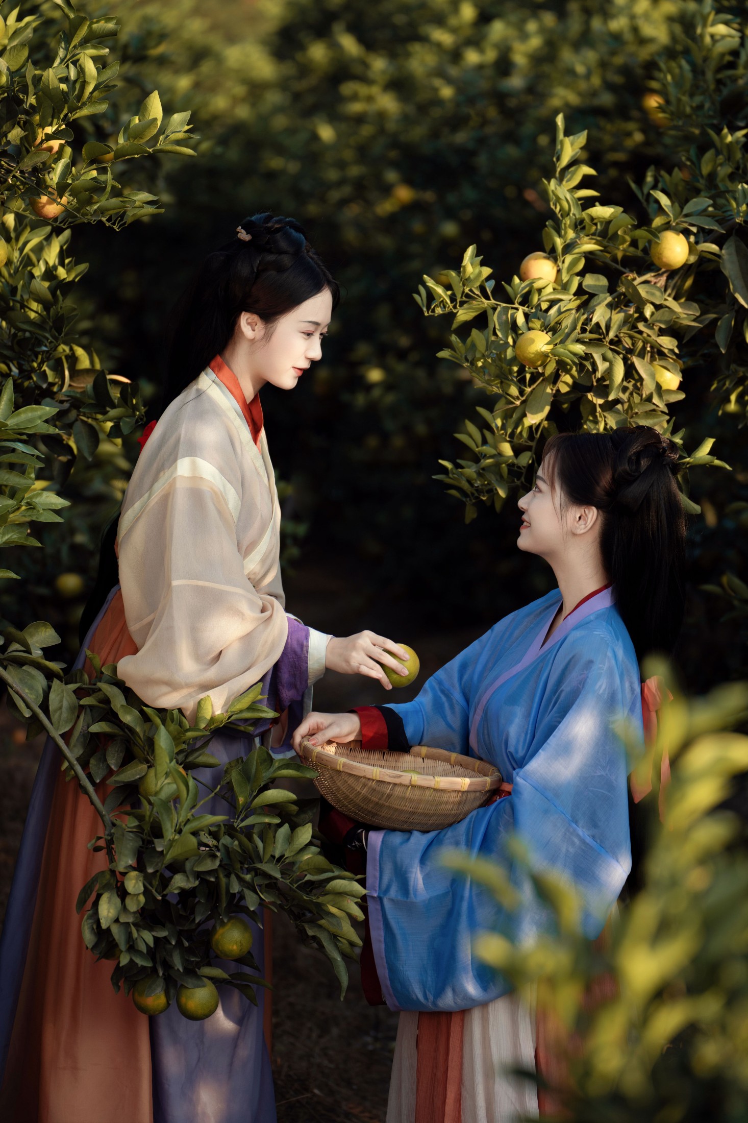 图片[6] - 薯片yoyi - 《采橘》[22P] - 机器猫次元 - 机器猫次元