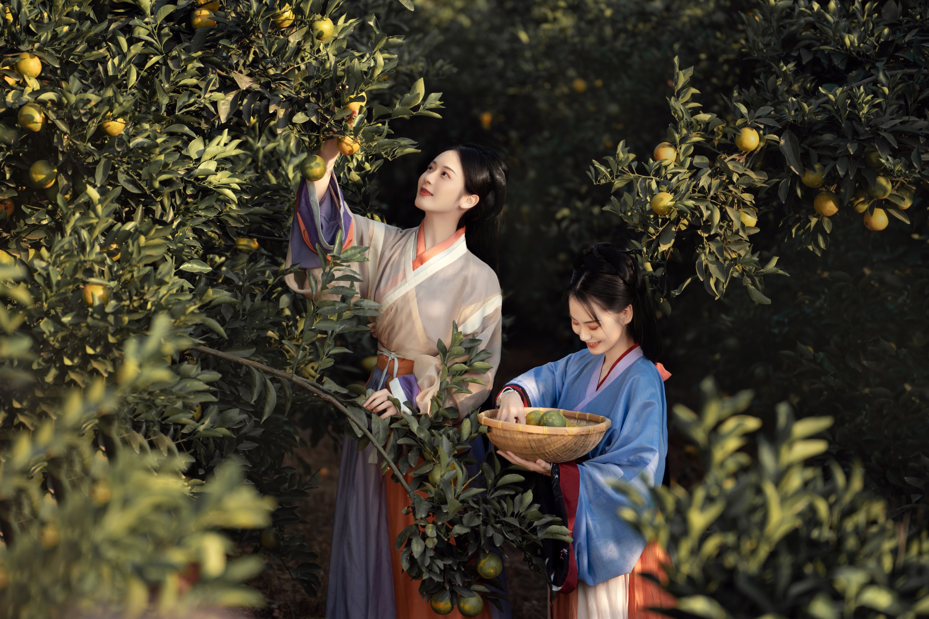 图片[4] - 薯片yoyi - 《采橘》[22P] - 机器猫次元 - 机器猫次元