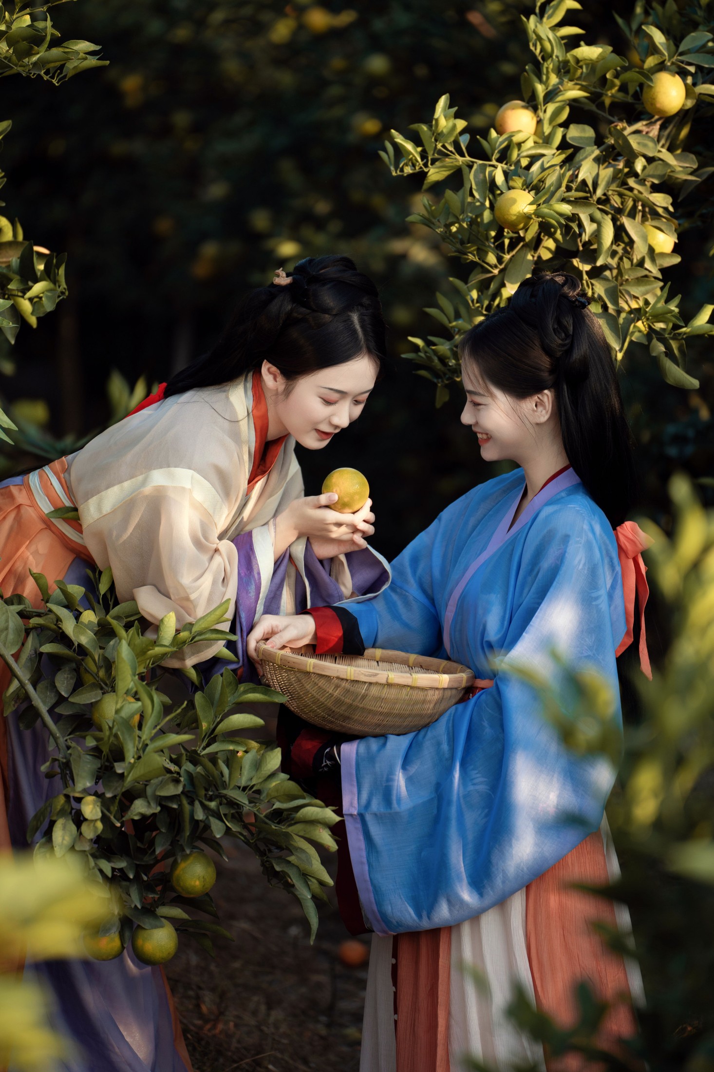 图片[7] - 薯片yoyi - 《采橘》[22P] - 机器猫次元 - 机器猫次元