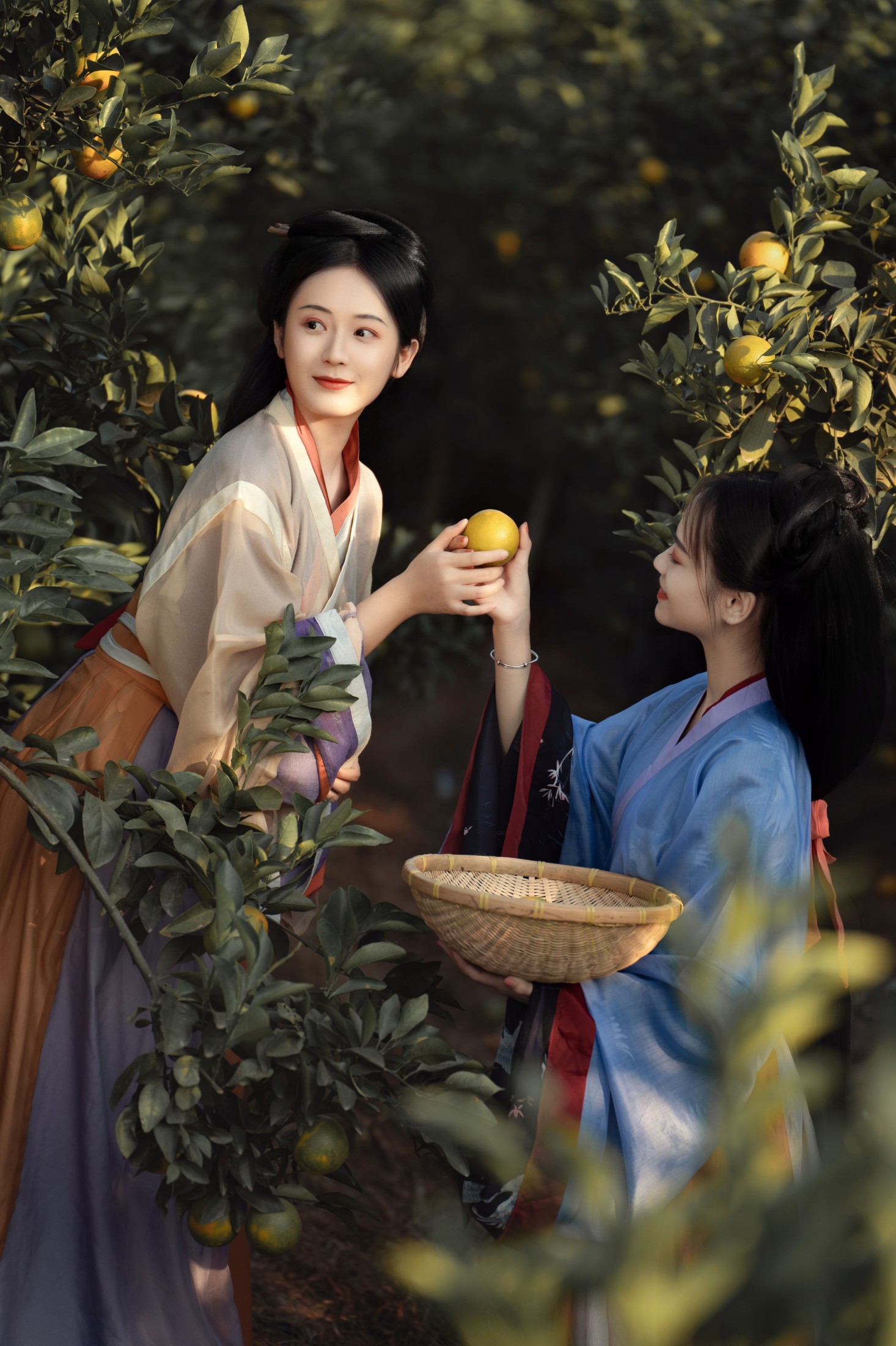 图片[5] - 薯片yoyi - 《采橘》[22P] - 机器猫次元 - 机器猫次元