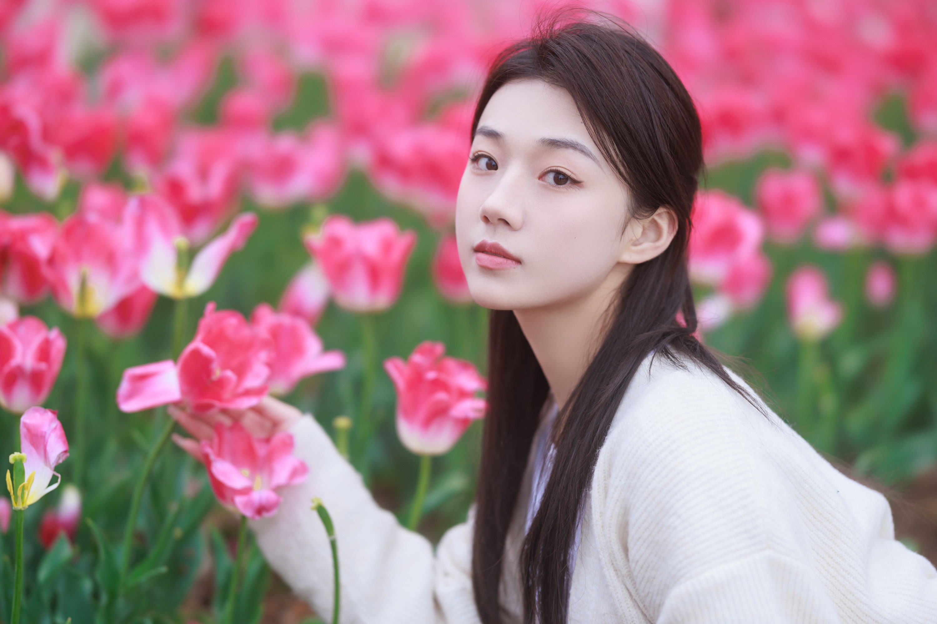 图片[3] - 裴同学 - 《郁金香拍照》[28P] - 机器猫次元 - 机器猫次元