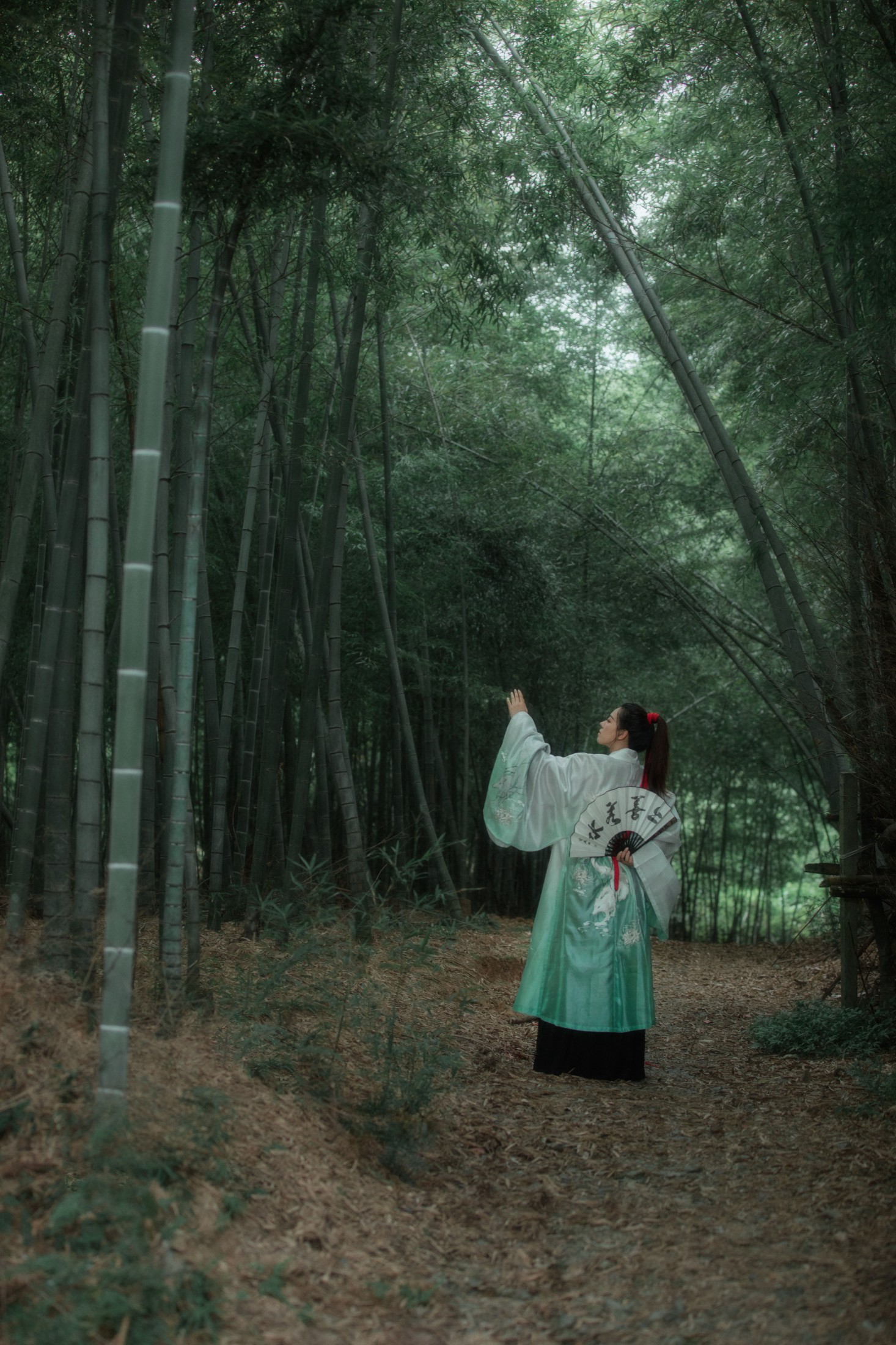图片[6] - Emma - 《潇湘客》[22P] - 机器猫次元 - 机器猫次元