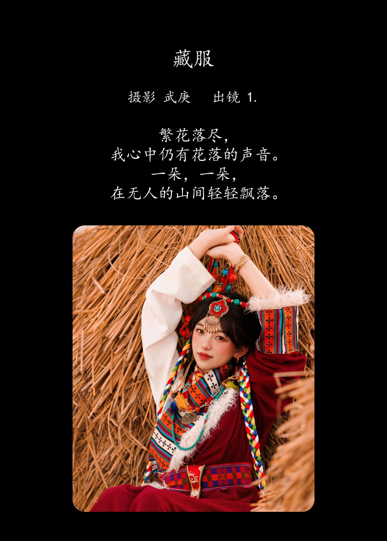 图片[2] - 赤木晴子 - 《藏服》[22P] - 机器猫次元 - 机器猫次元