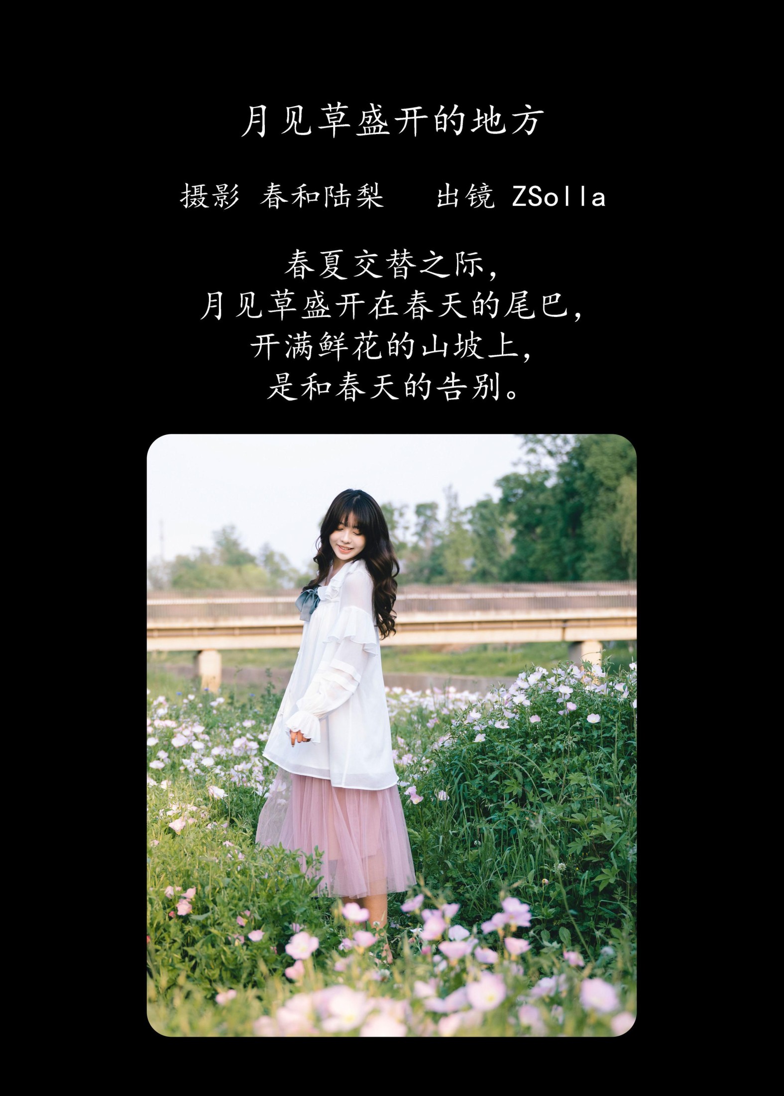 图片[2] - Z_Solla - 《月见草盛开的地方》[20P] - 机器猫次元 - 机器猫次元
