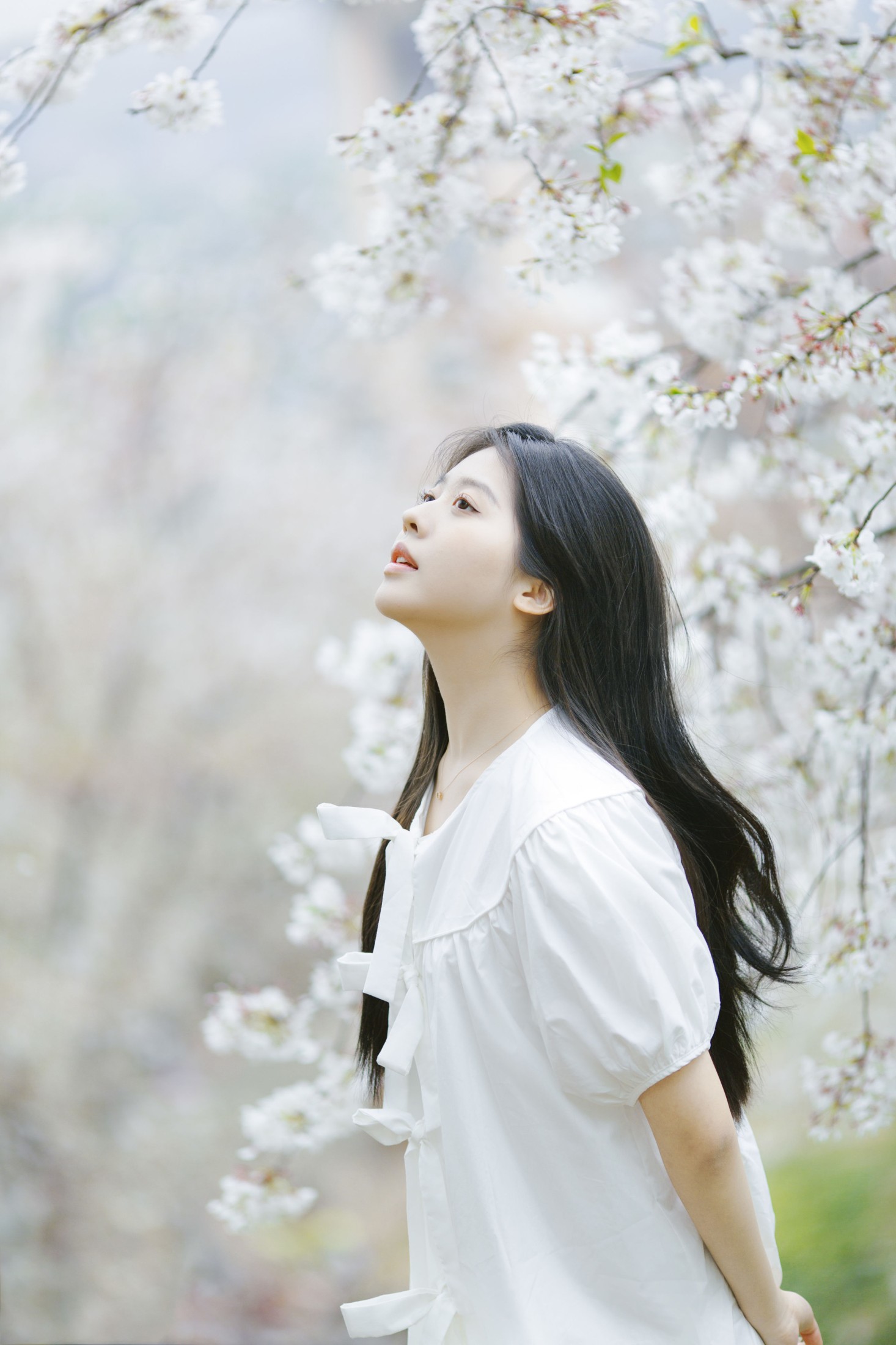 图片[6] - Z_Solla - 《樱花落下的瞬间》[20P] - 机器猫次元 - 机器猫次元