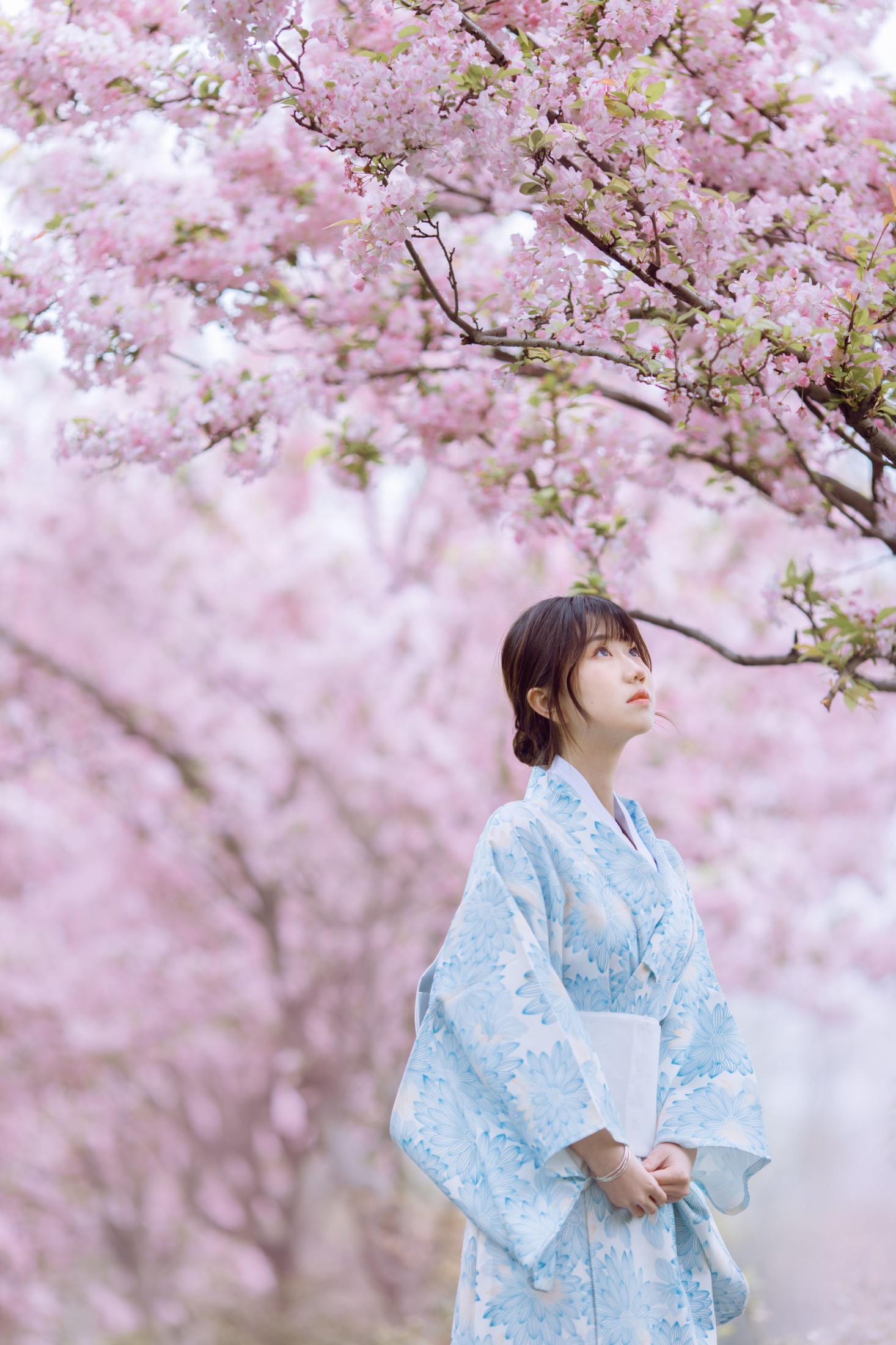 图片[5] - 对对 - 《三月季》[20P] - 机器猫次元 - 机器猫次元