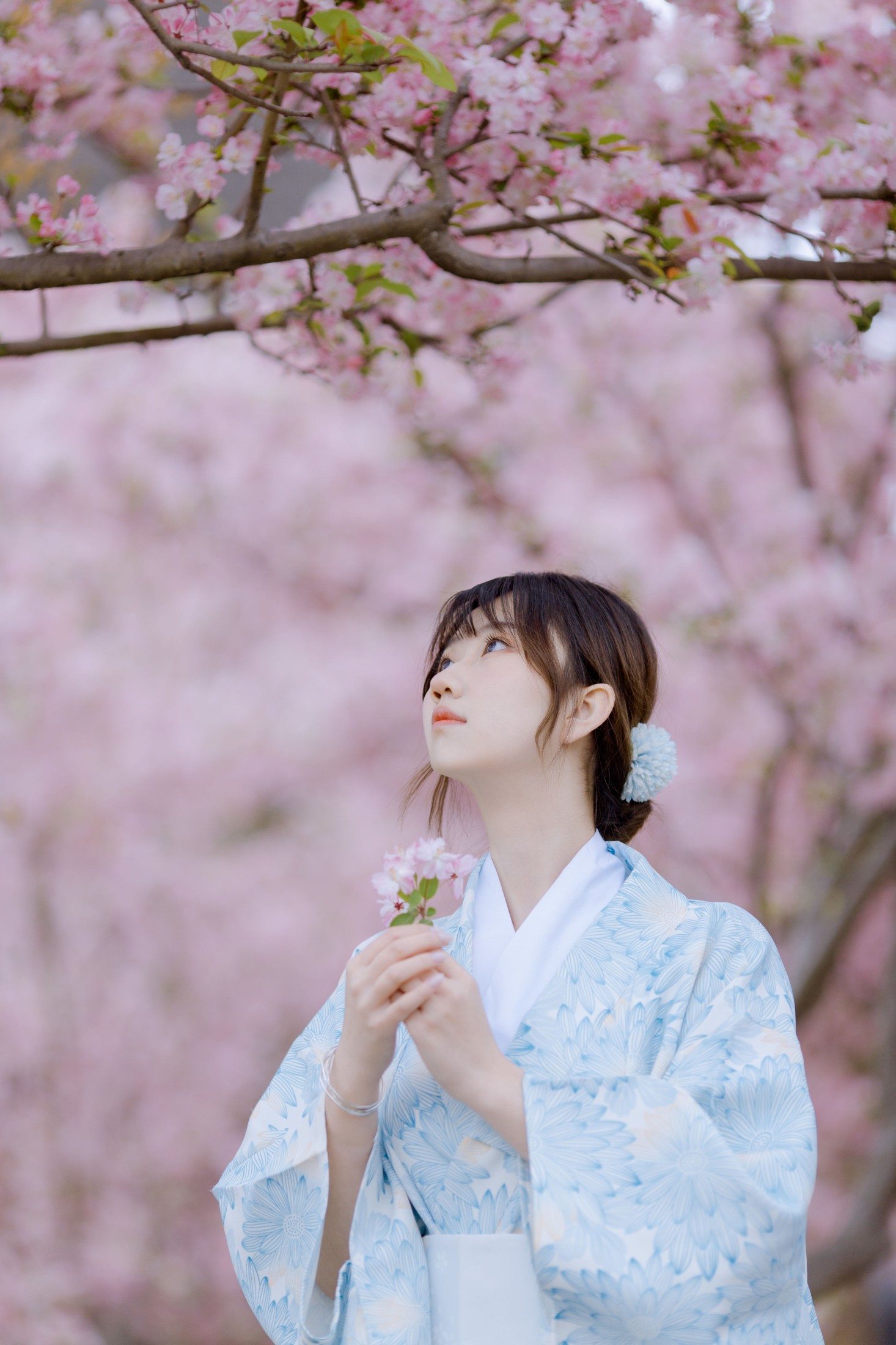 图片[8] - 对对 - 《三月季》[20P] - 机器猫次元 - 机器猫次元