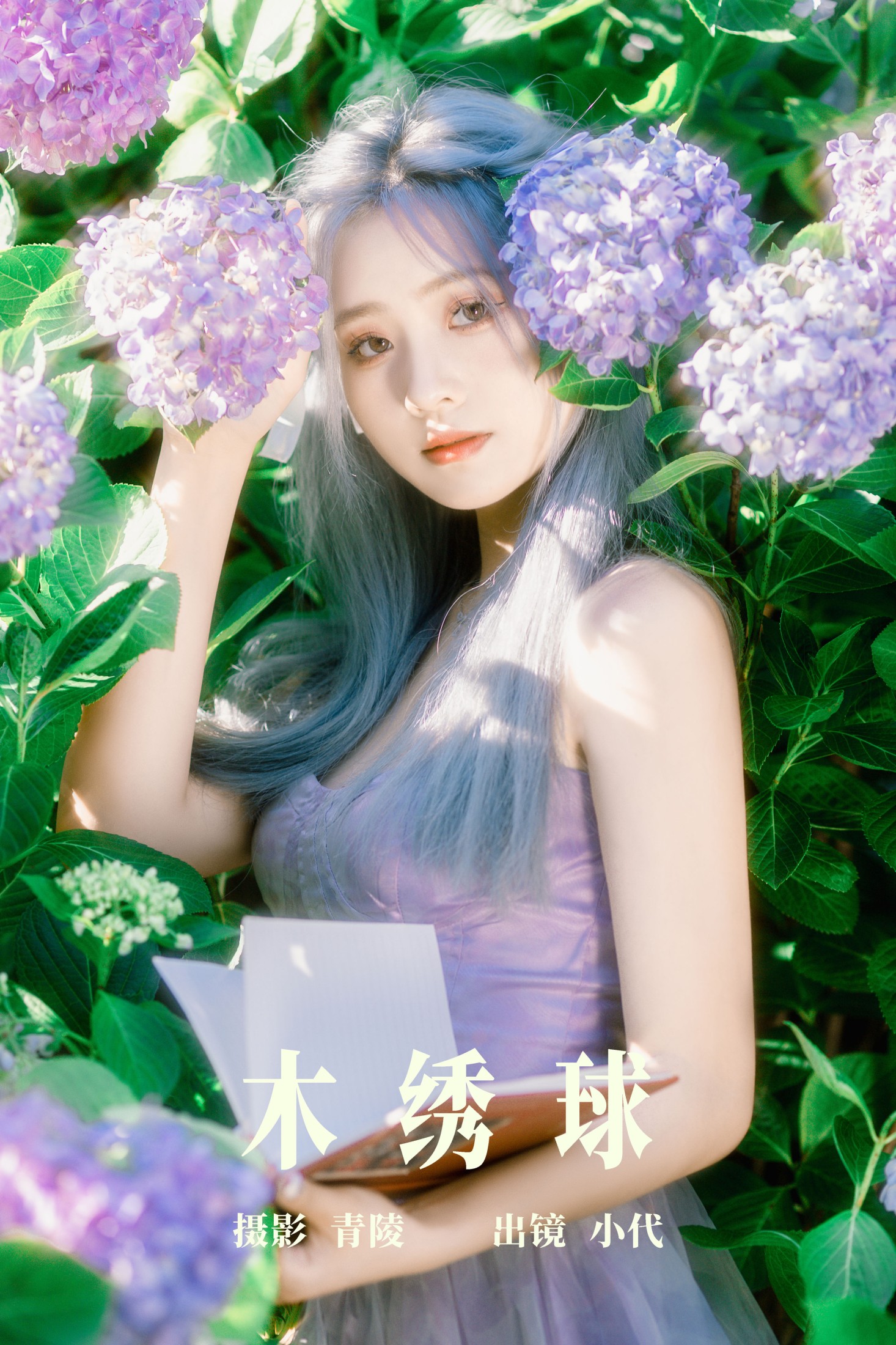 图片[1] - 羔丽代 - 《木绣球》[31P] - 机器猫次元 - 机器猫次元
