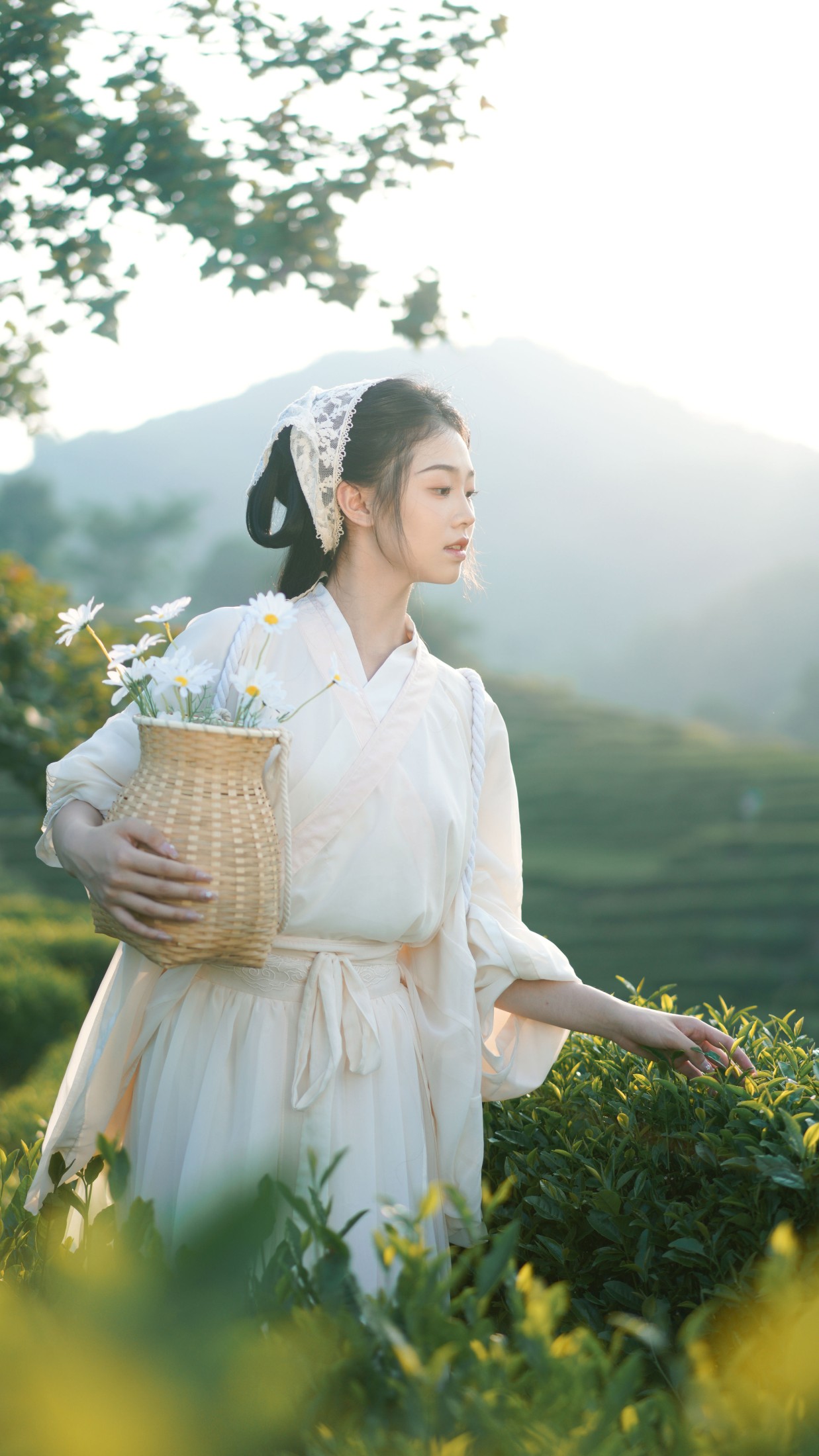 图片[4] - 小羊墩墩 - 《茶山》[32P] - 机器猫次元 - 机器猫次元