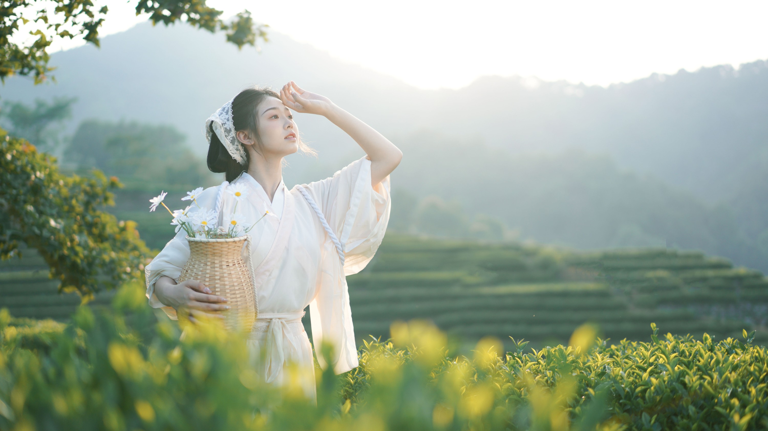 图片[5] - 小羊墩墩 - 《茶山》[32P] - 机器猫次元 - 机器猫次元