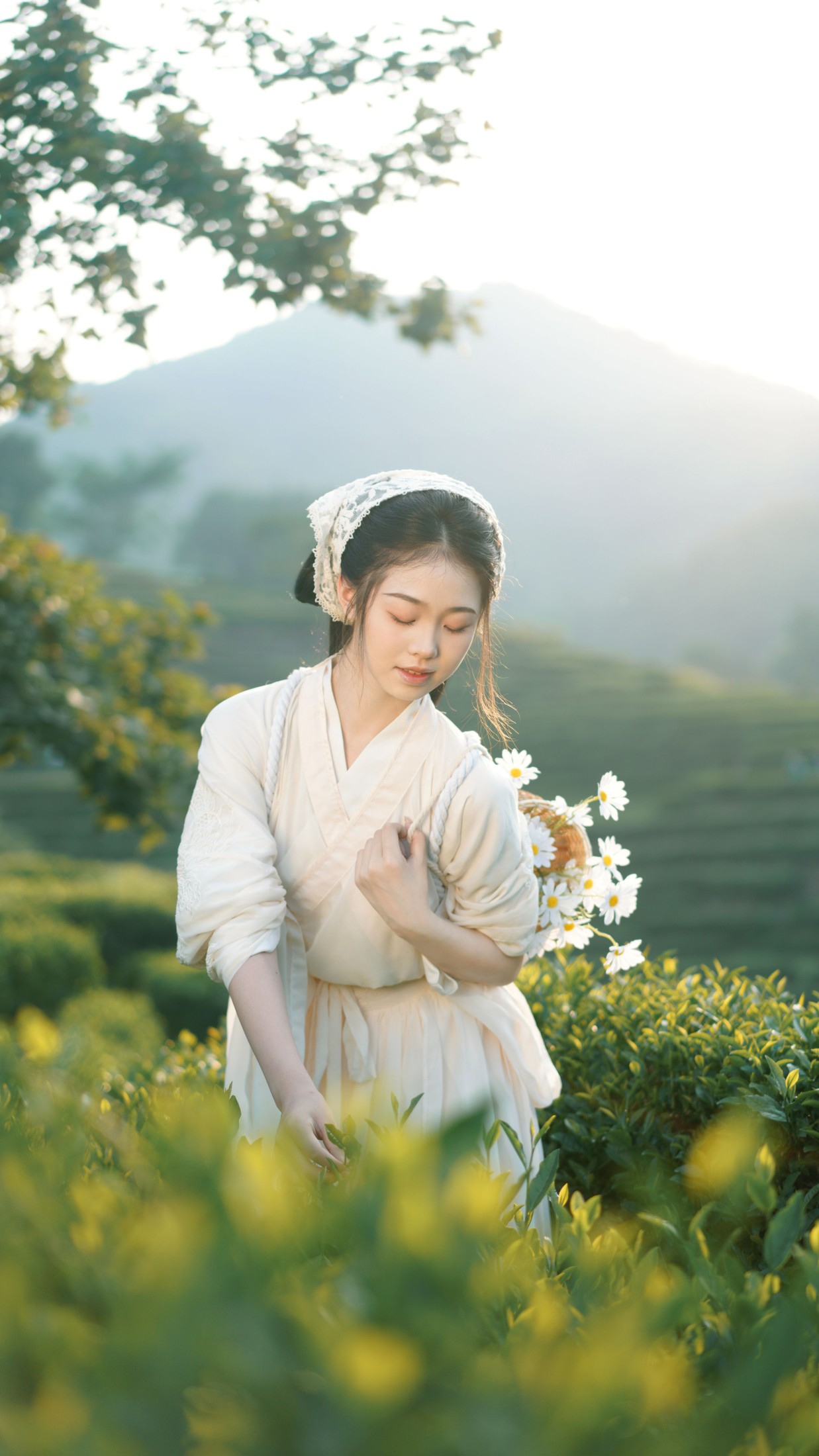 图片[8] - 小羊墩墩 - 《茶山》[32P] - 机器猫次元 - 机器猫次元
