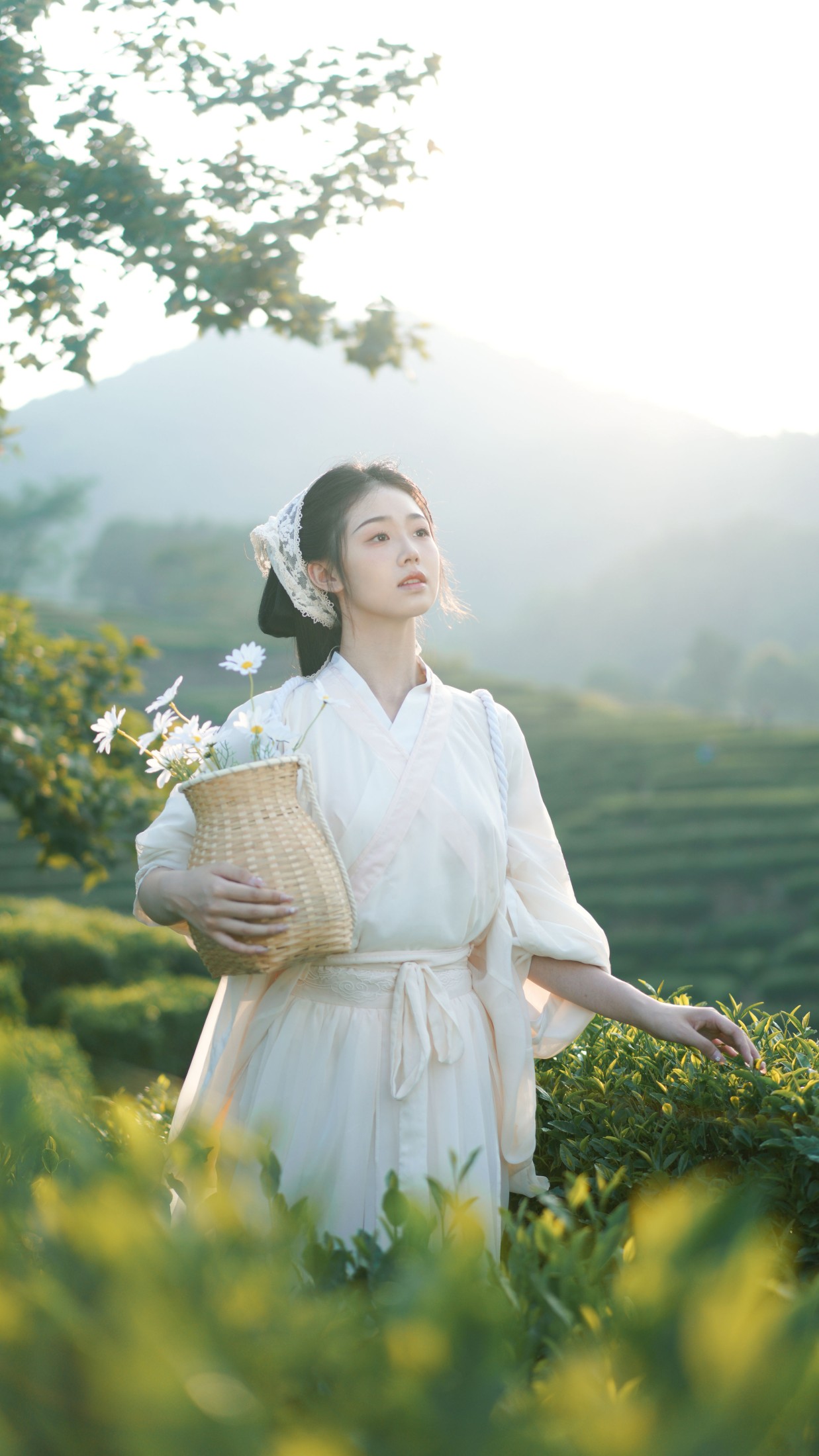 图片[3] - 小羊墩墩 - 《茶山》[32P] - 机器猫次元 - 机器猫次元