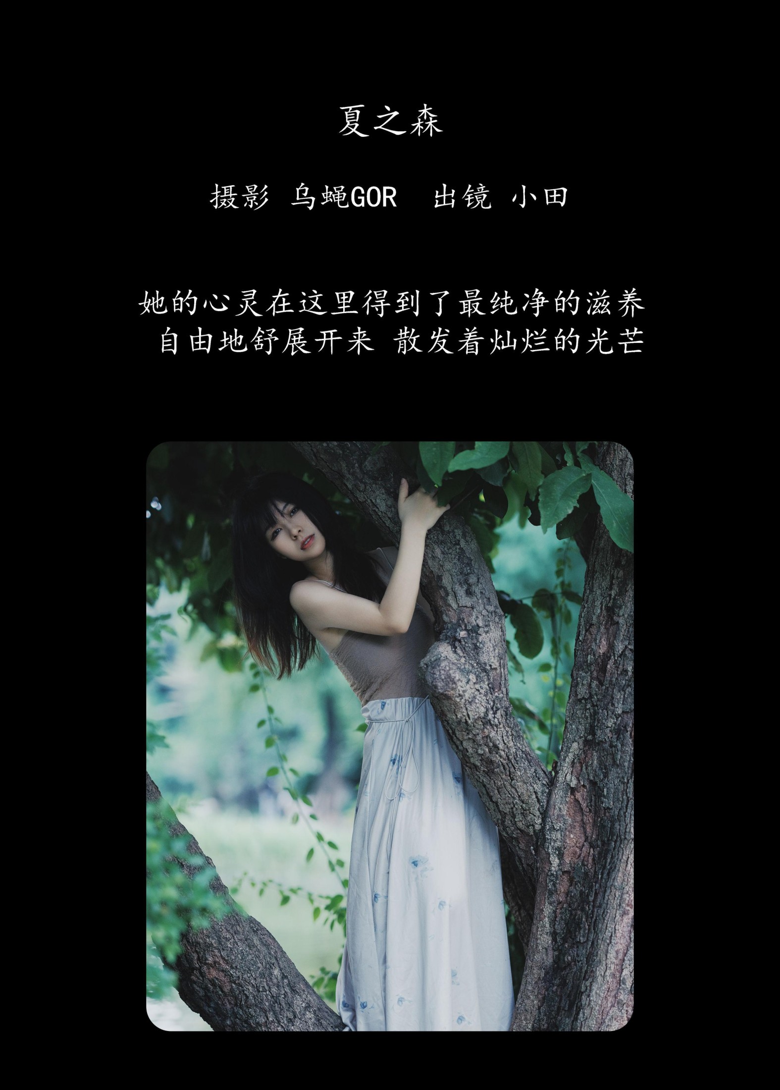 图片[2] - 小田 - 《夏之森》[42P] - 机器猫次元 - 机器猫次元