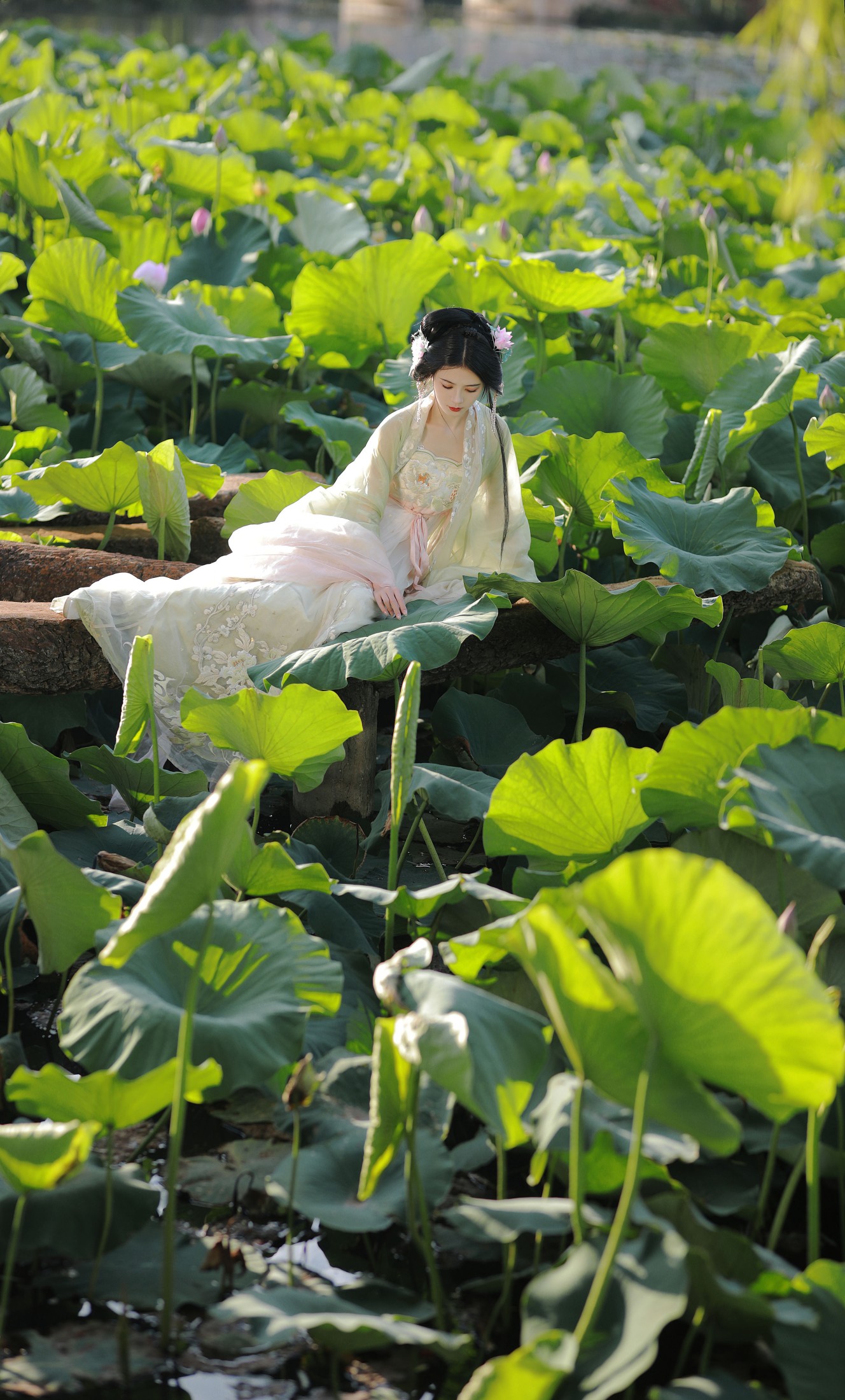 图片[8] - 吾岁岁 - 《误入藕花深处》[28P] - 机器猫次元 - 机器猫次元