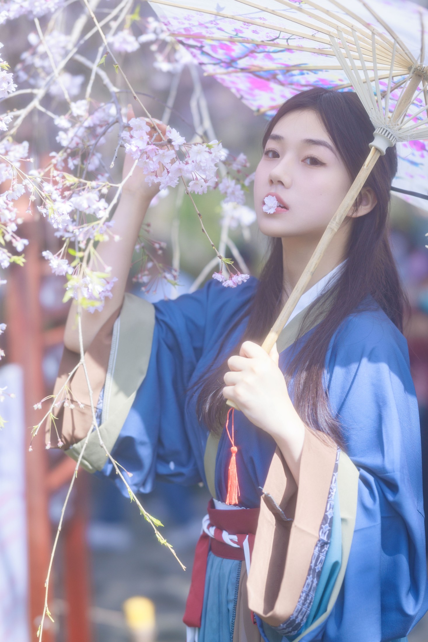 图片[5] - 裴同学 - 《垂樱》[22P] - 机器猫次元 - 机器猫次元