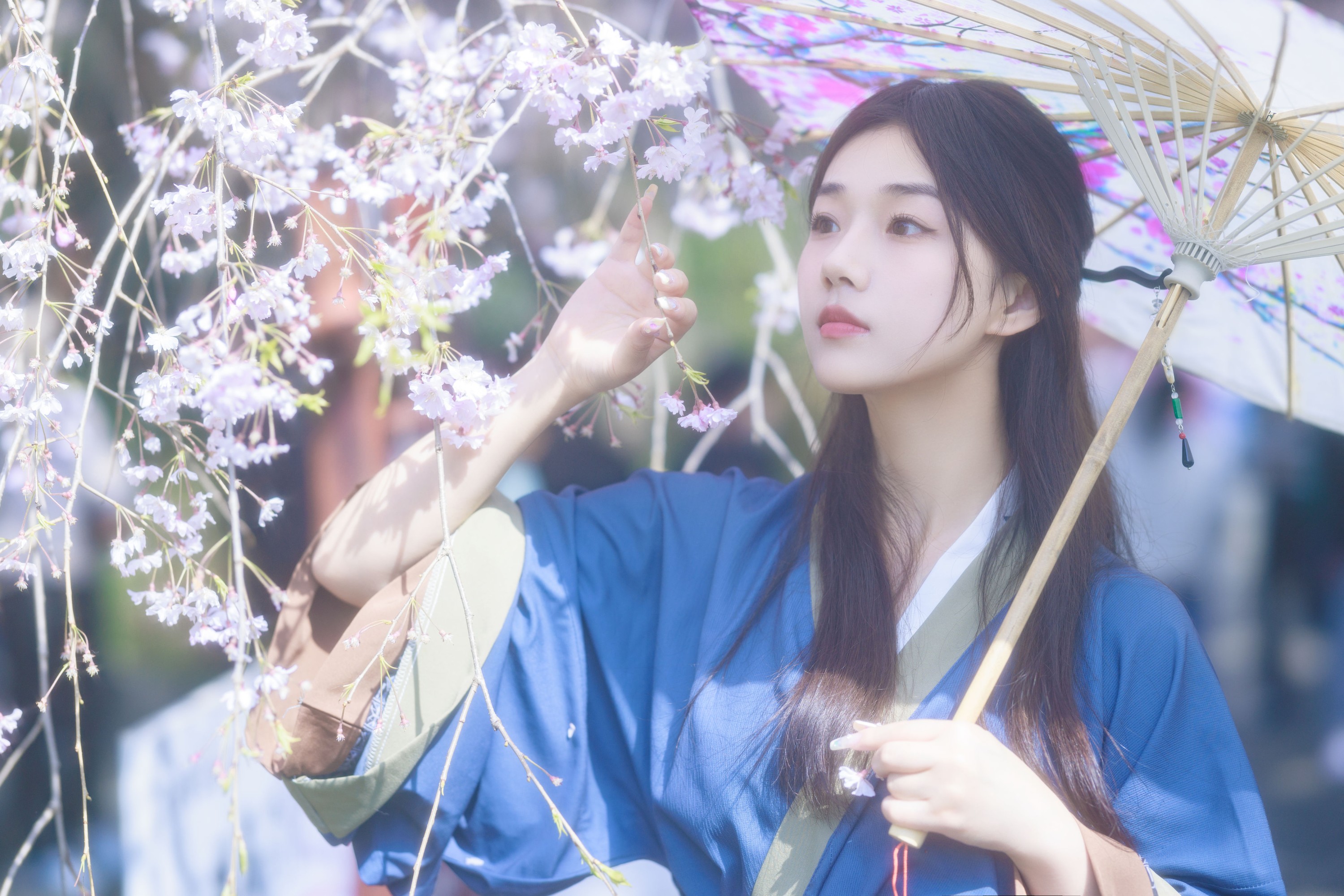 图片[6] - 裴同学 - 《垂樱》[22P] - 机器猫次元 - 机器猫次元