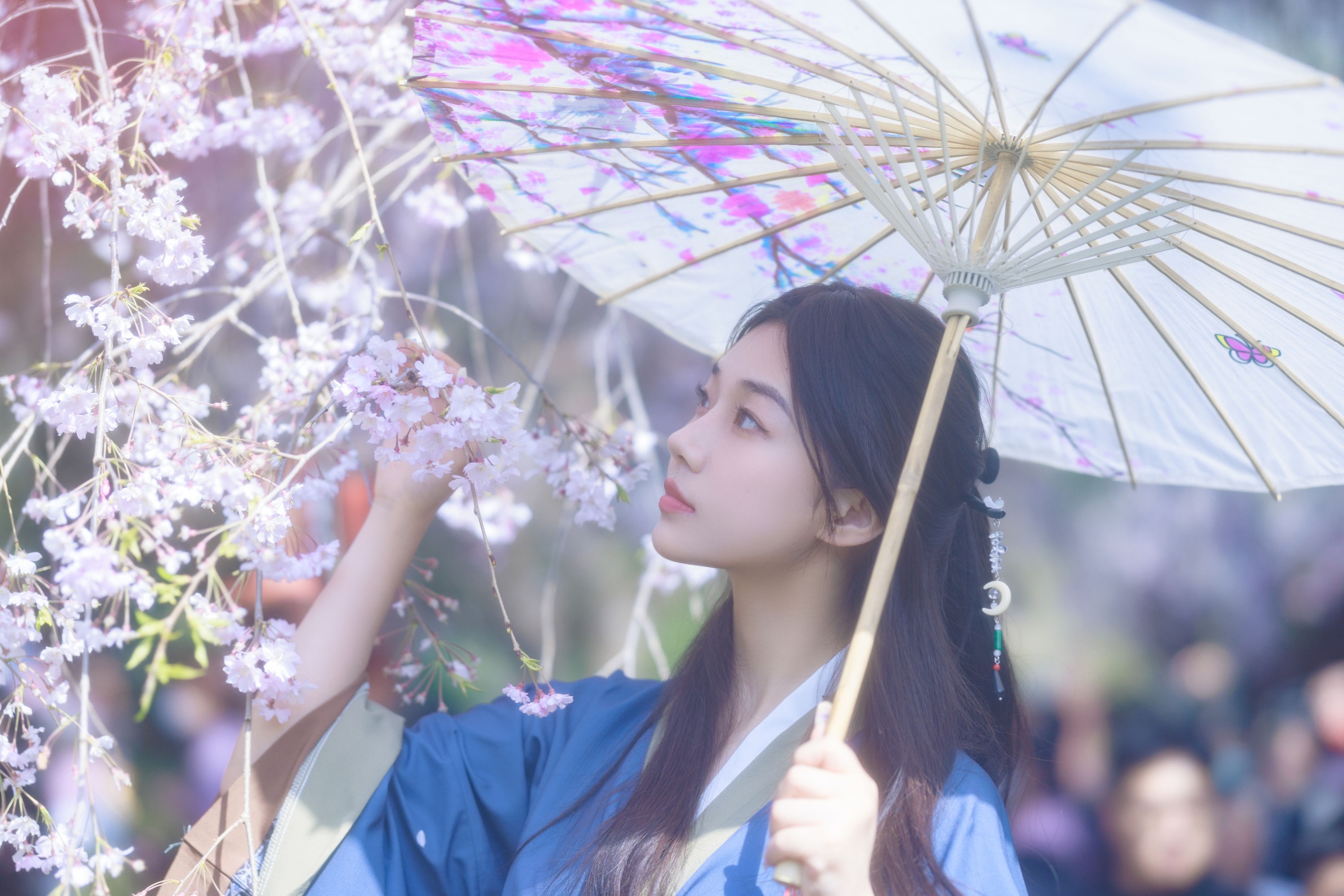 图片[3] - 裴同学 - 《垂樱》[22P] - 机器猫次元 - 机器猫次元