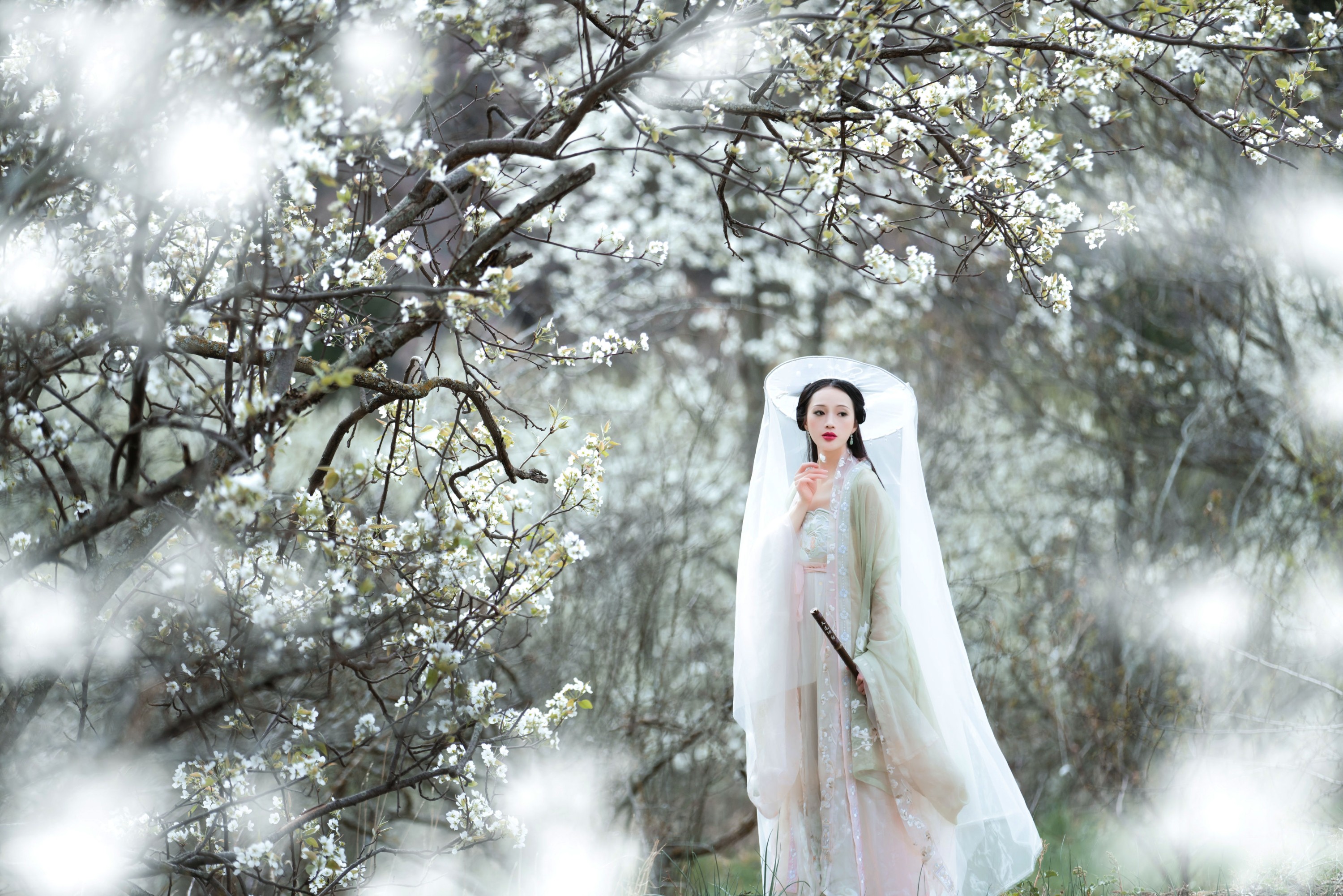 图片[3] - 薇薇 - 《梨花意》[38P] - 机器猫次元 - 机器猫次元