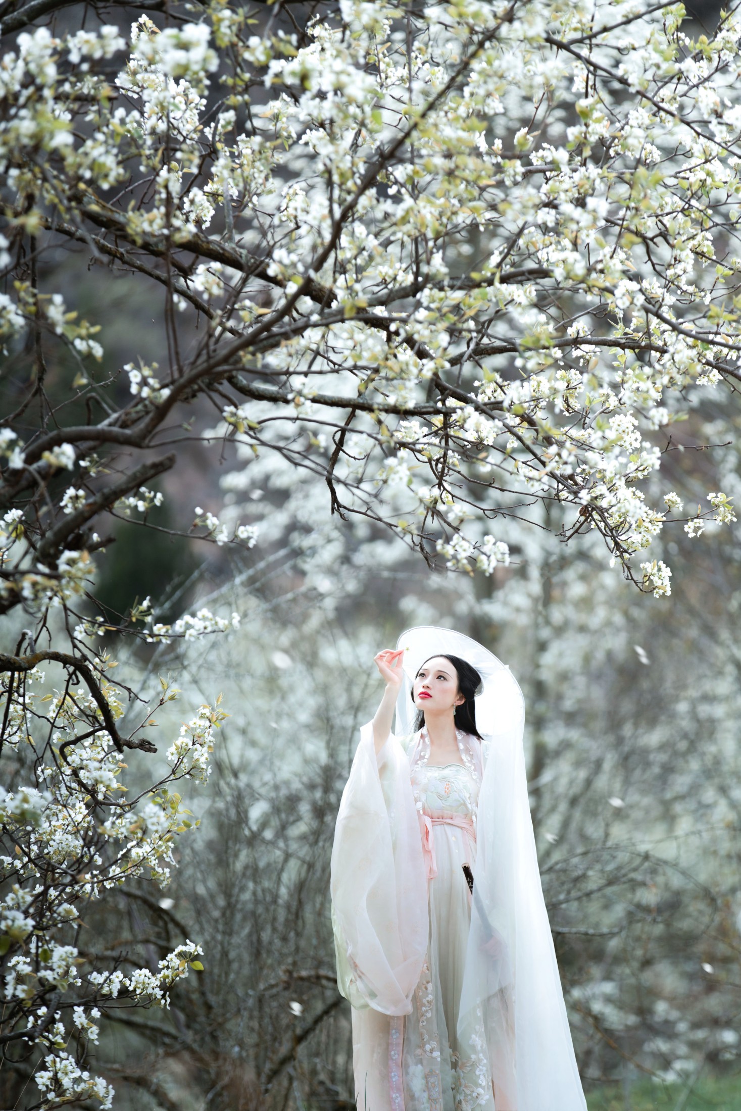 图片[5] - 薇薇 - 《梨花意》[38P] - 机器猫次元 - 机器猫次元