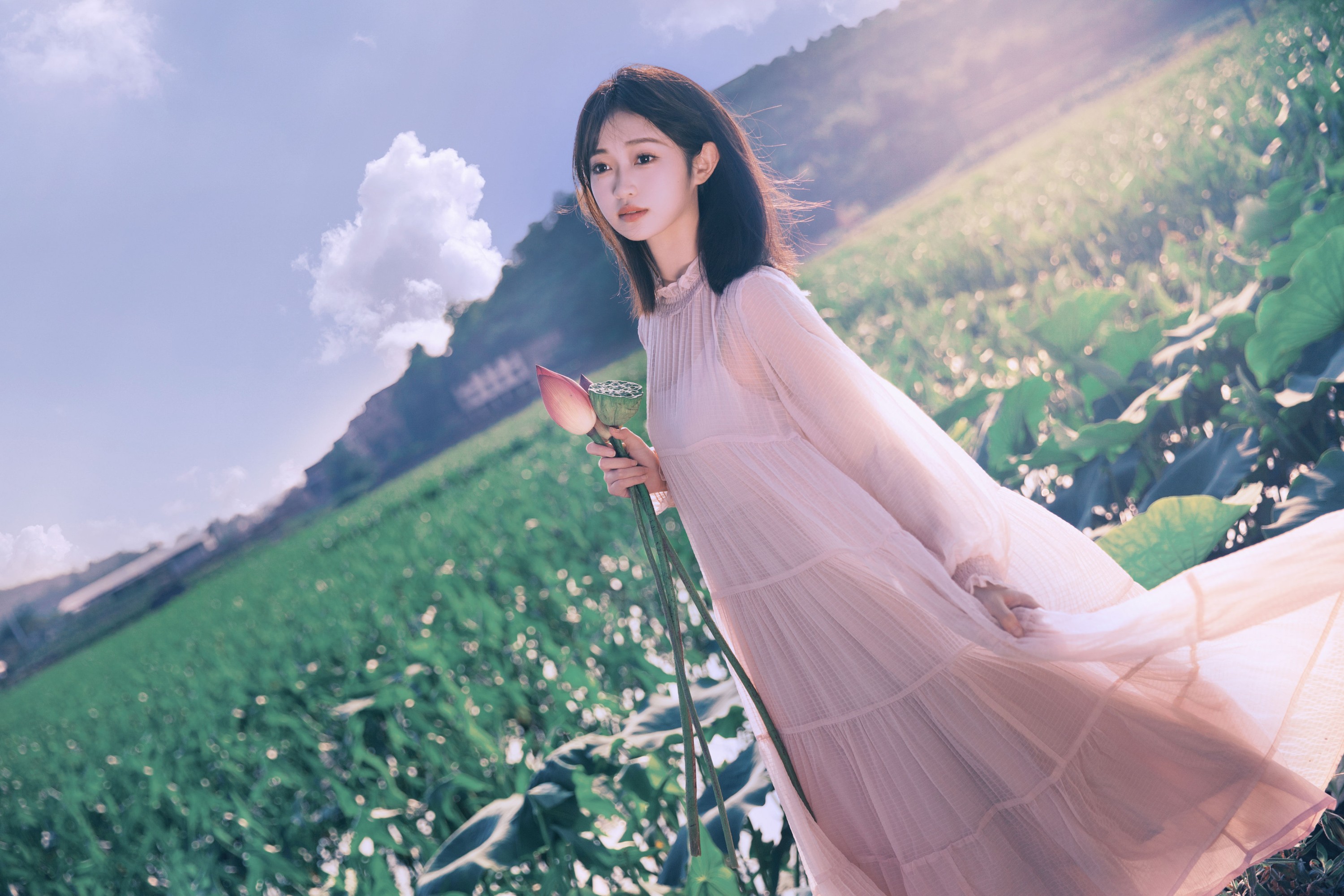 图片[4] - 悲伤小河马 - 《夏日荷花》[31P] - 机器猫次元 - 机器猫次元