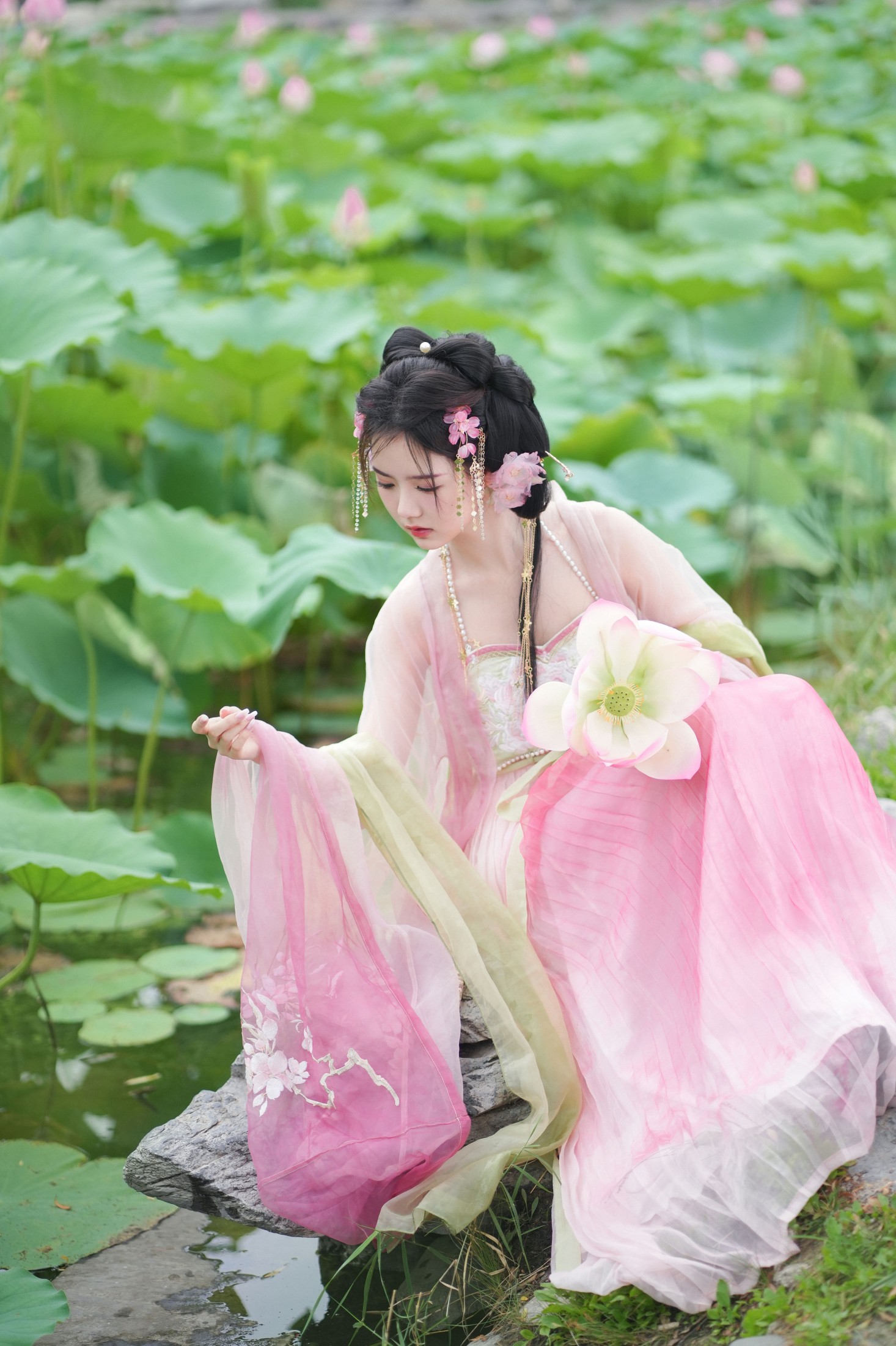 图片[3] - 是鱼干啊～ - 《误入藕花深处》[30P] - 机器猫次元 - 机器猫次元