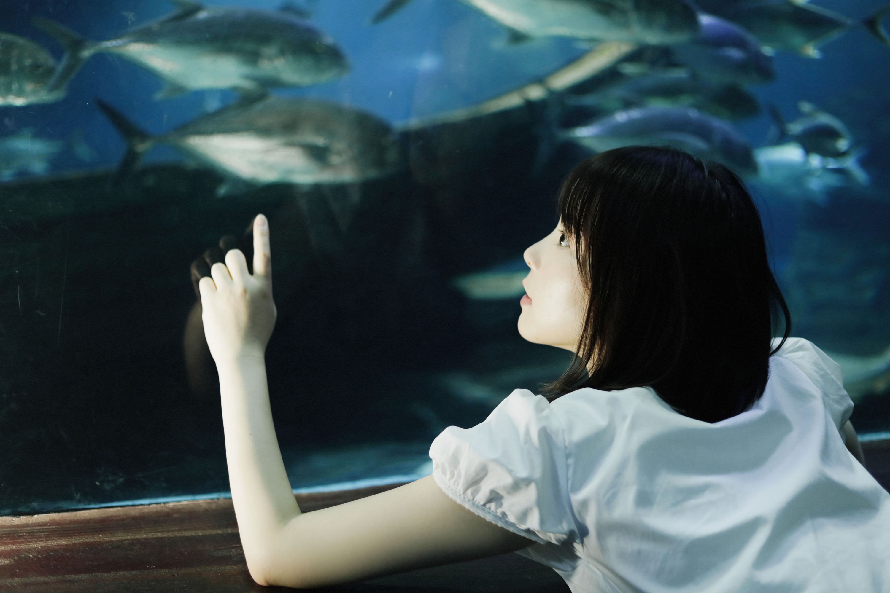 图片[4] - 雨一颗 - 《lost in blue》[28P] - 机器猫次元 - 机器猫次元