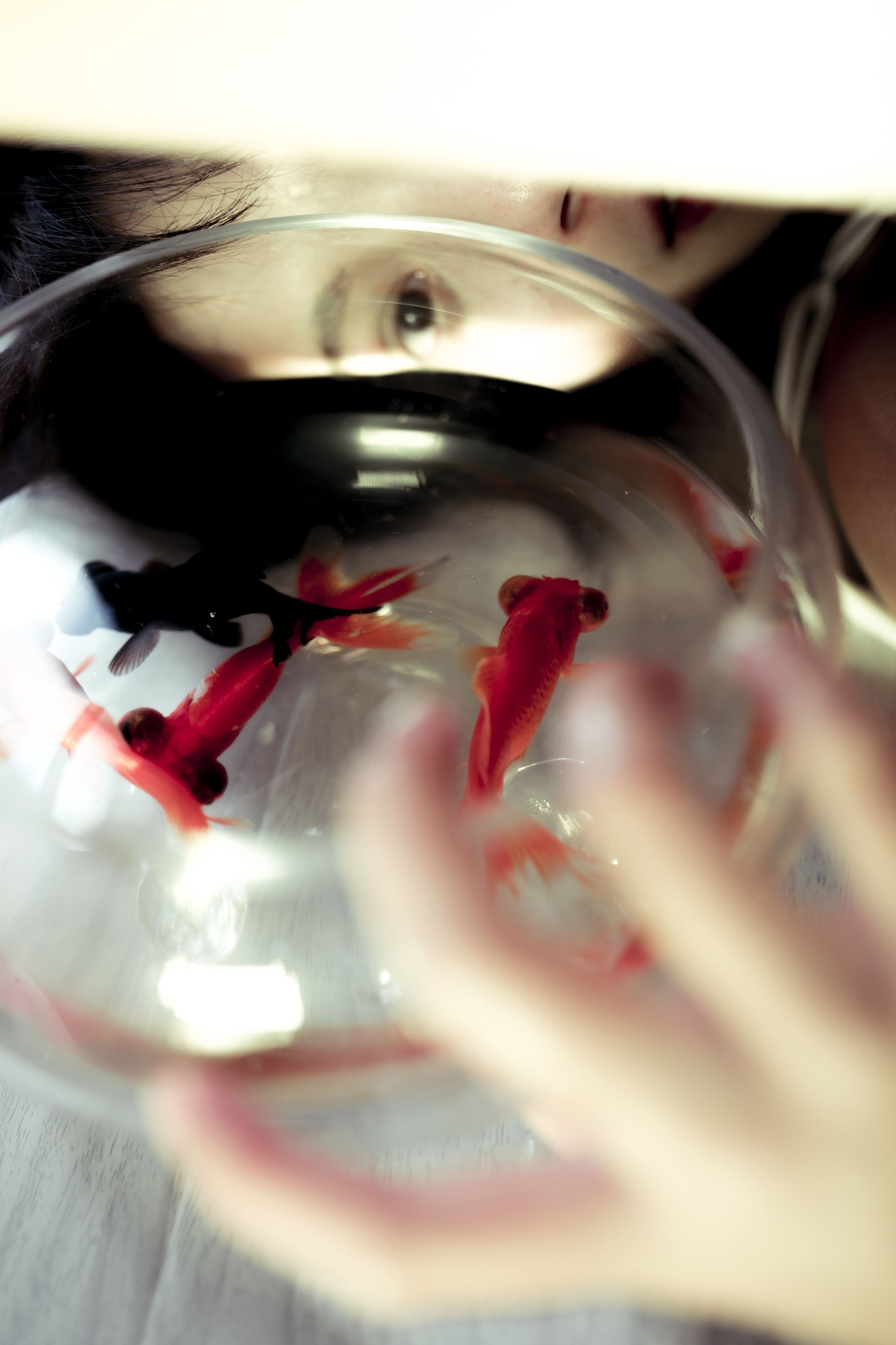 图片[7] - 奈七 - 《游鱼美梦》[23P] - 机器猫次元 - 机器猫次元